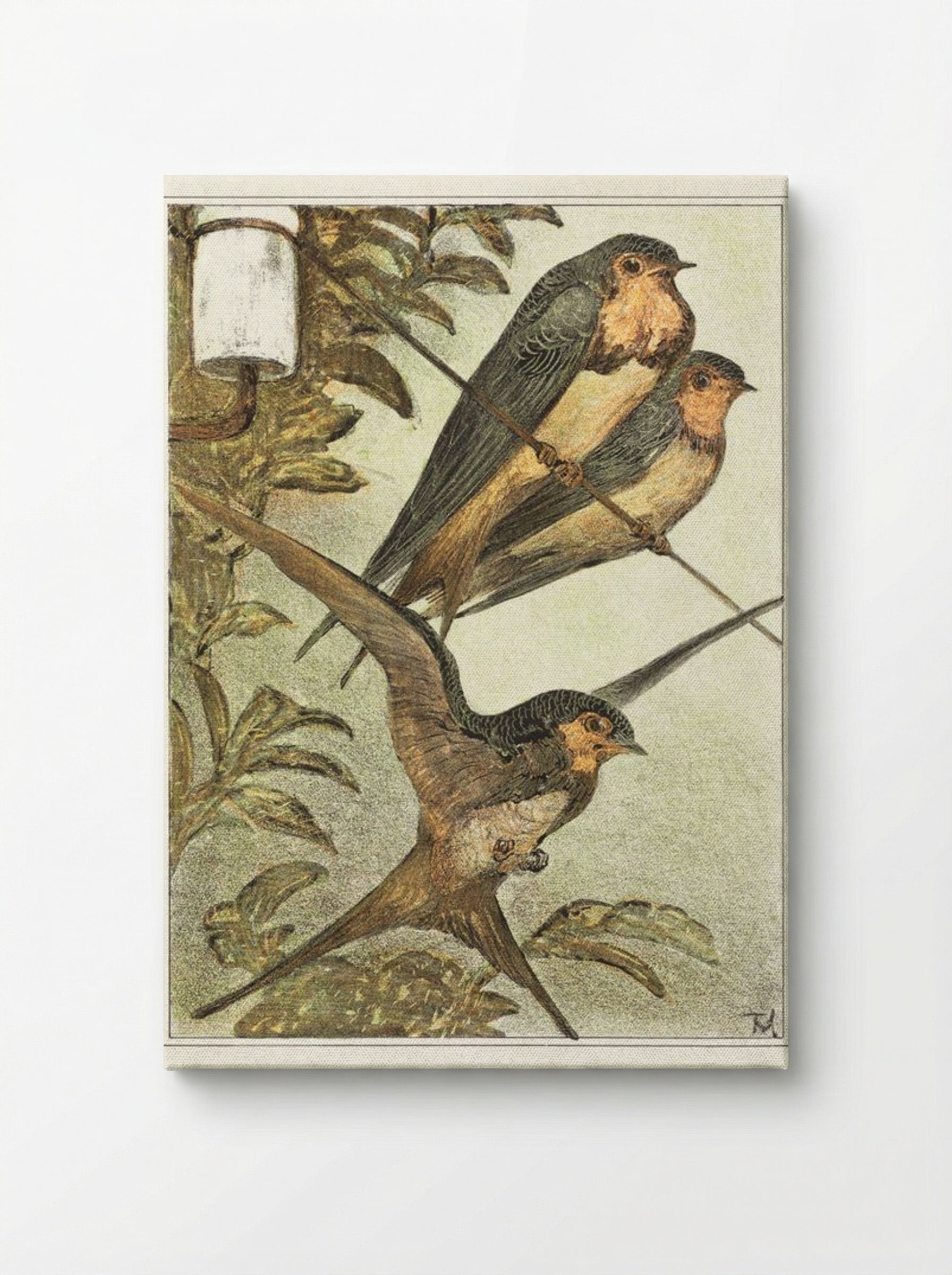 Drie zwaluwen (Three Swallows) - Theo van Hoytema - Canvas