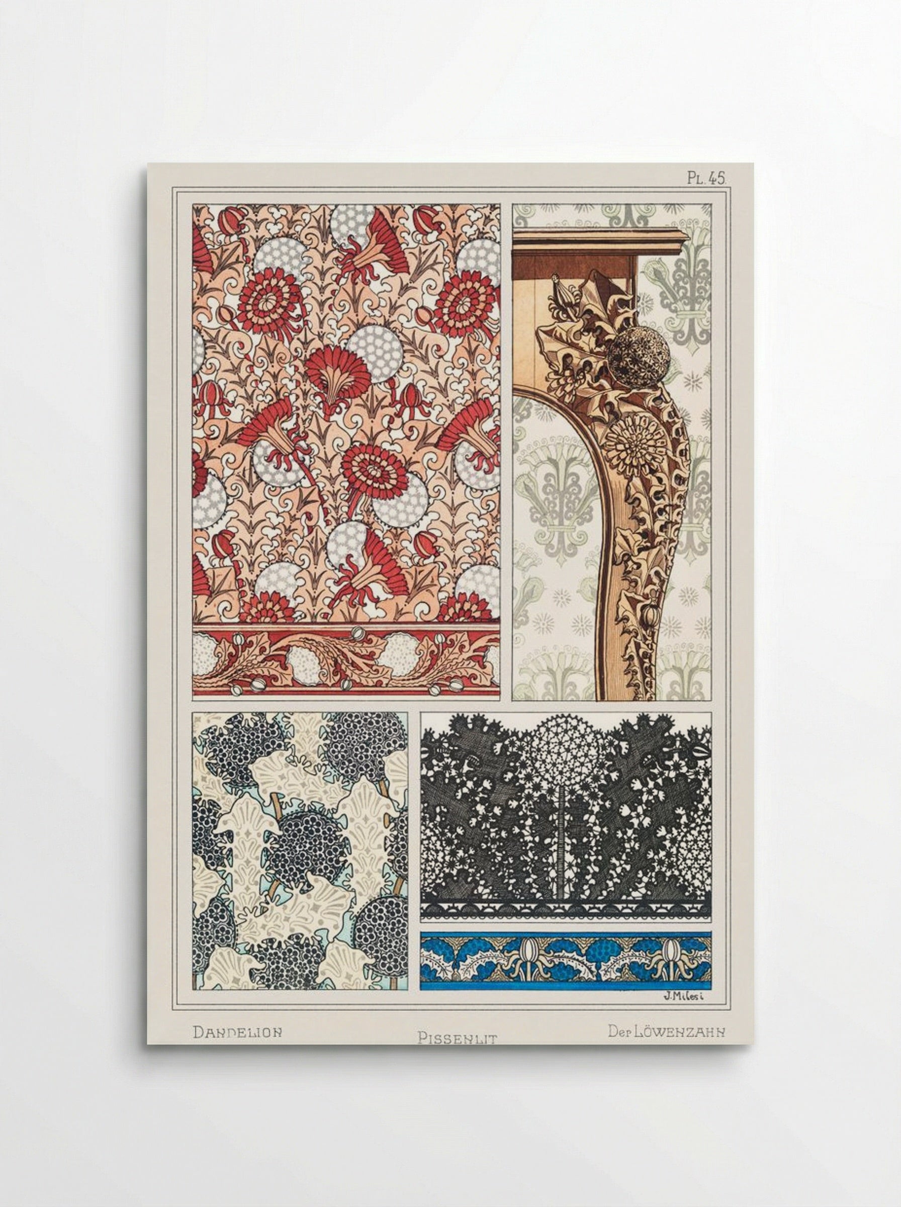 Pissenlit (Dandelion) from La Plante et ses Applications ornementales - Maurice Pillard Verneuil - Poster