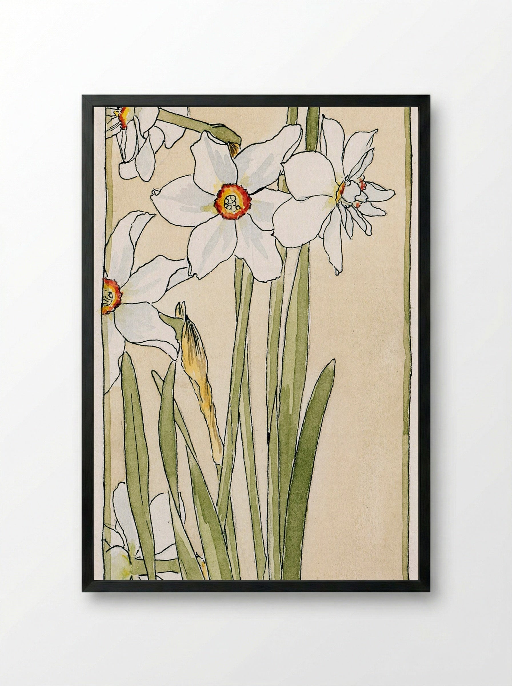 Poet's Narcissus (1915) - Hannah Borger Overbeck - Framed Print Black