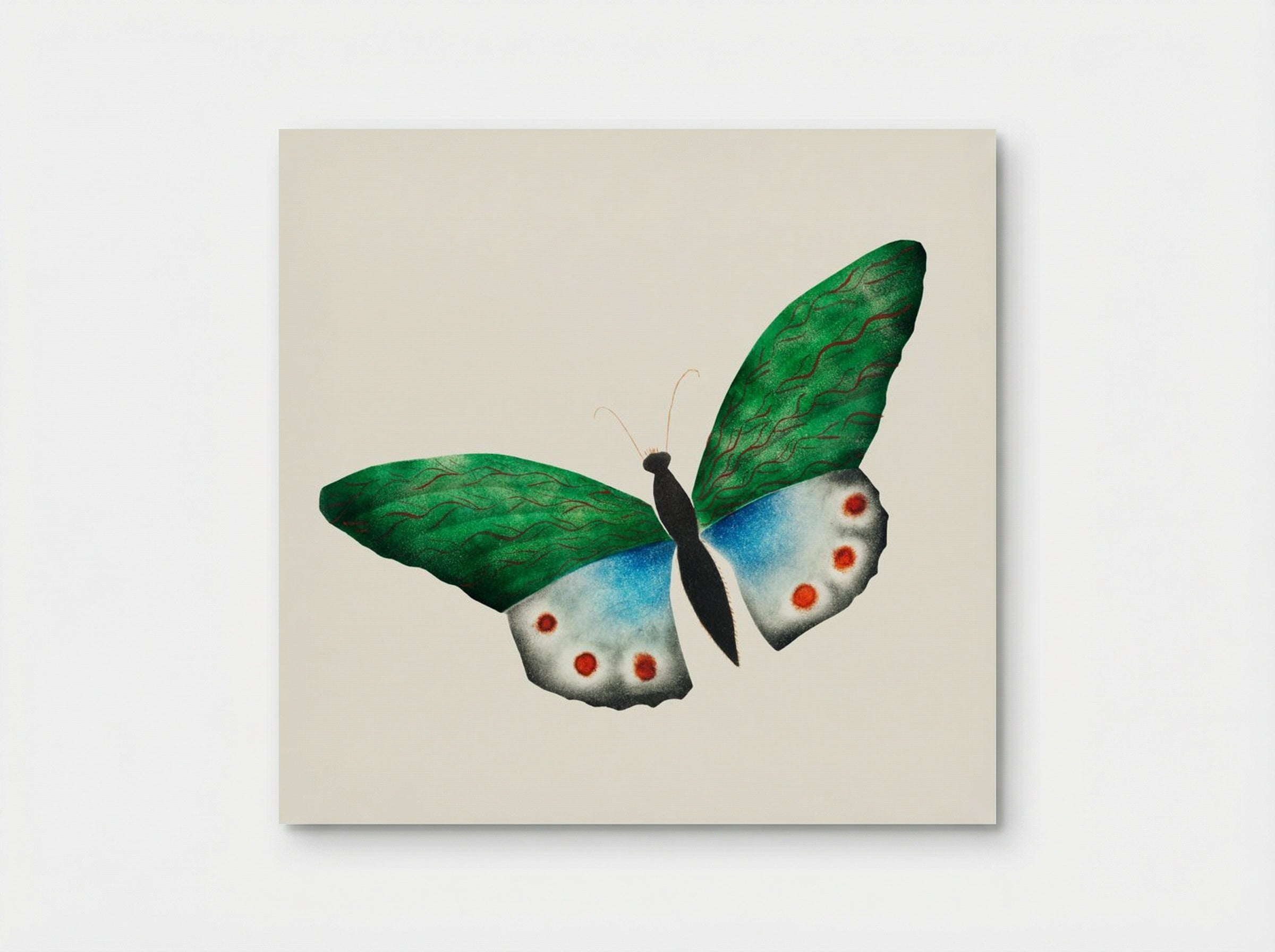 Butterfly - Mary Altha Nims - Poster