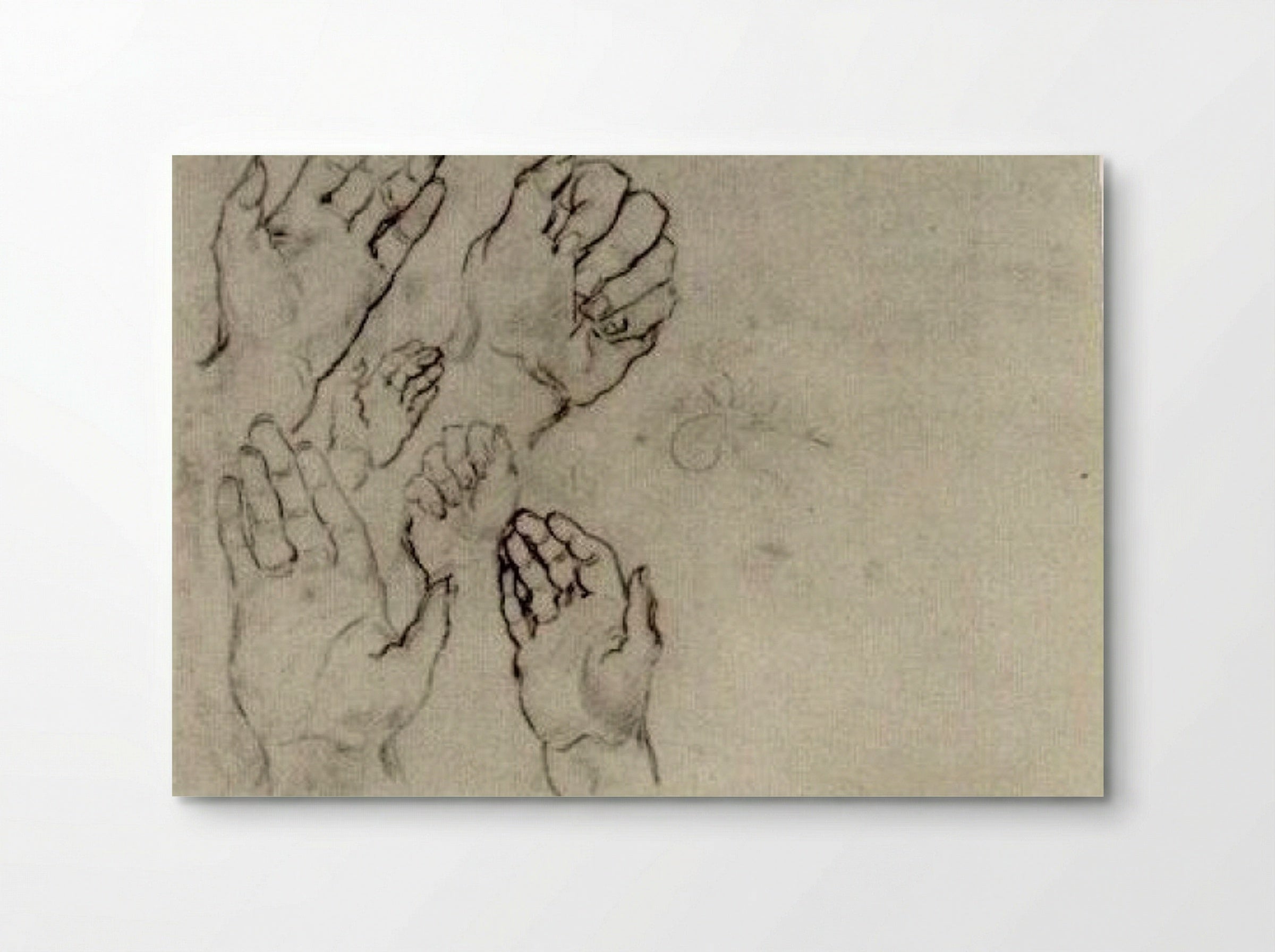 Study of Hands (Anatomical Sketch) - Fine Art Print - Poster