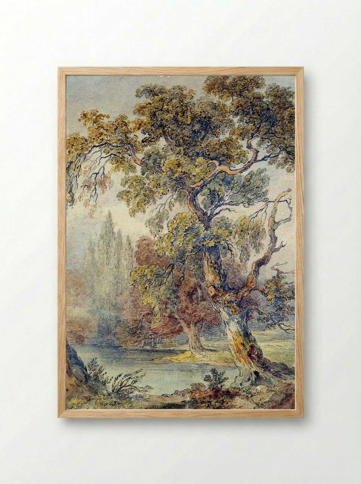 Trees and Pond - Fine Art Print - Framed Print Wood
