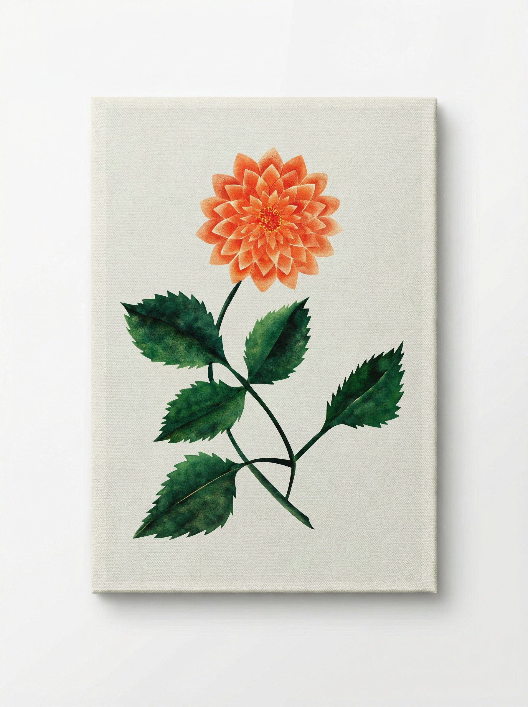 Dahlia - Mary Altha Nims - Canvas