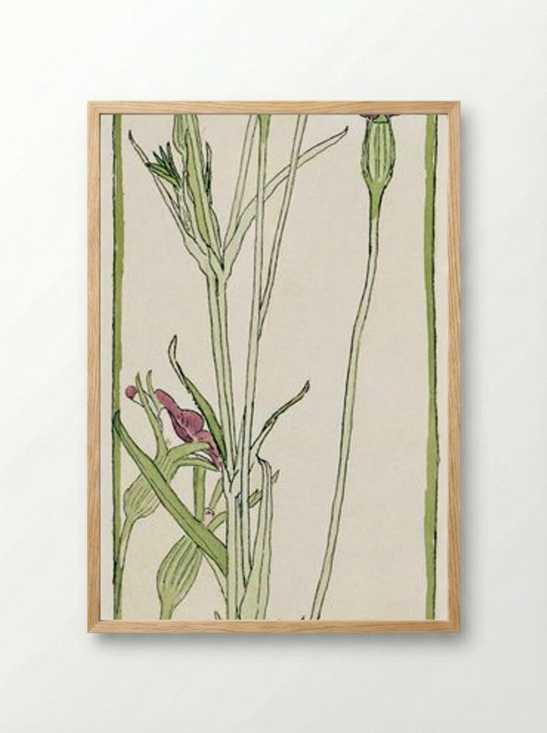 Corn Cockle - Hannah Borger Overbeck - Framed Print Wood