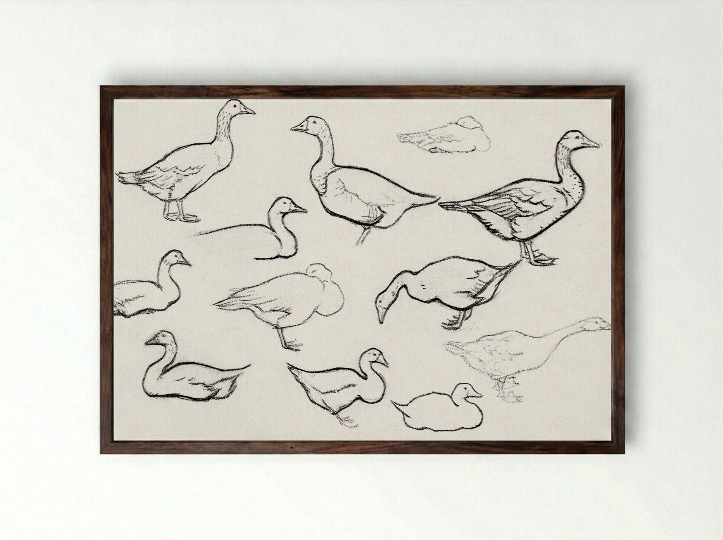 Study of Geese - Julie de Graag - Framed Print Dark Wood