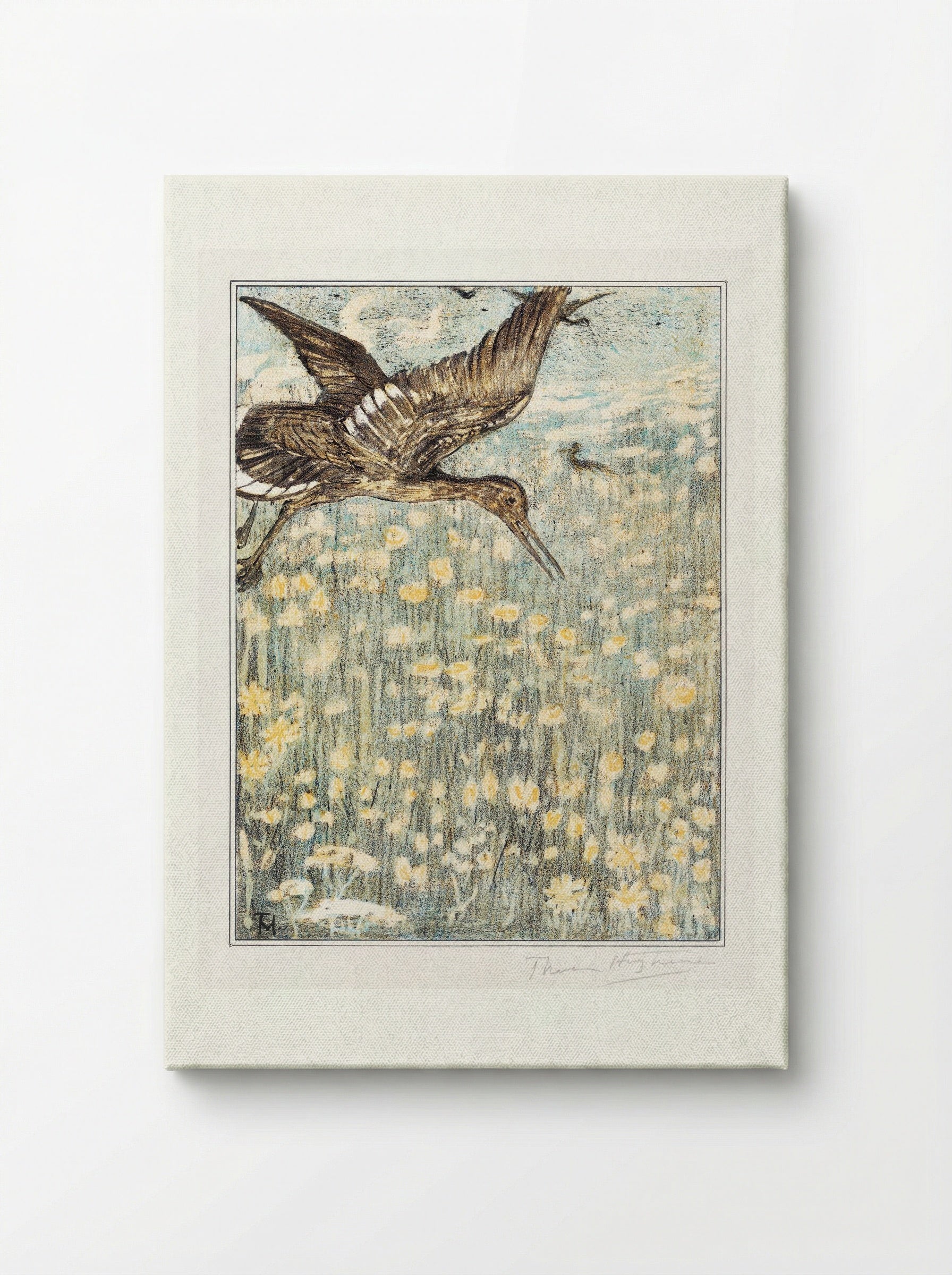 Tureluur (Redshank) - Theo van Hoytema - Canvas