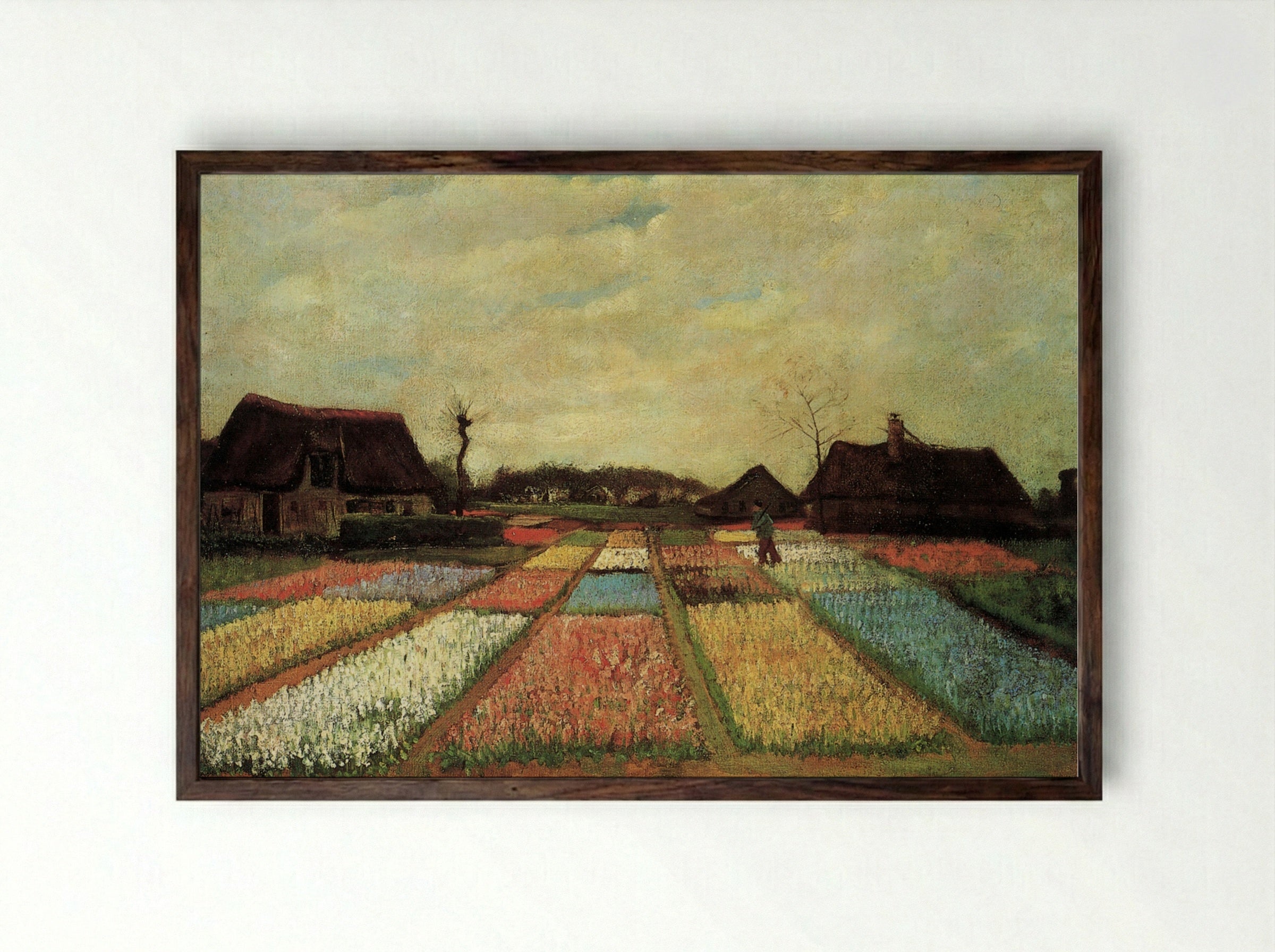 Bulb Fields - Vincent van Gogh - Framed Print Dark Wood