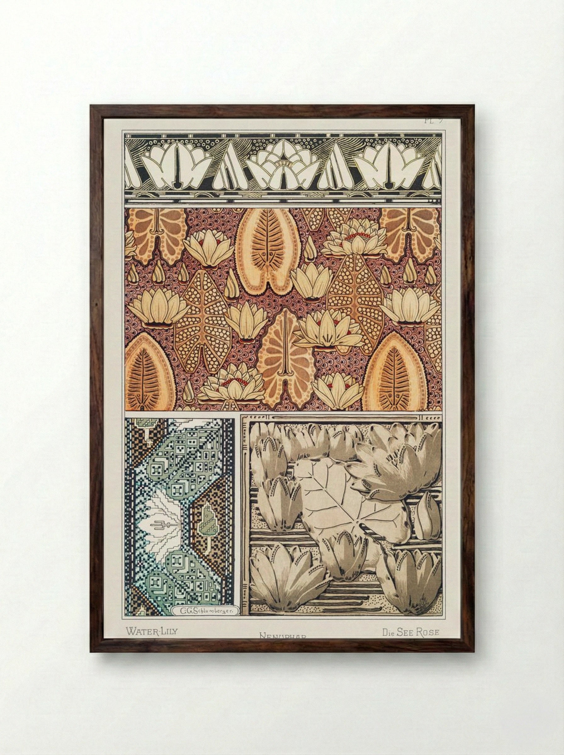 Nénuphar (Water Lilies) from La Plante et ses Applications ornementales - Maurice Pillard Verneuil - Framed Print Dark Wood