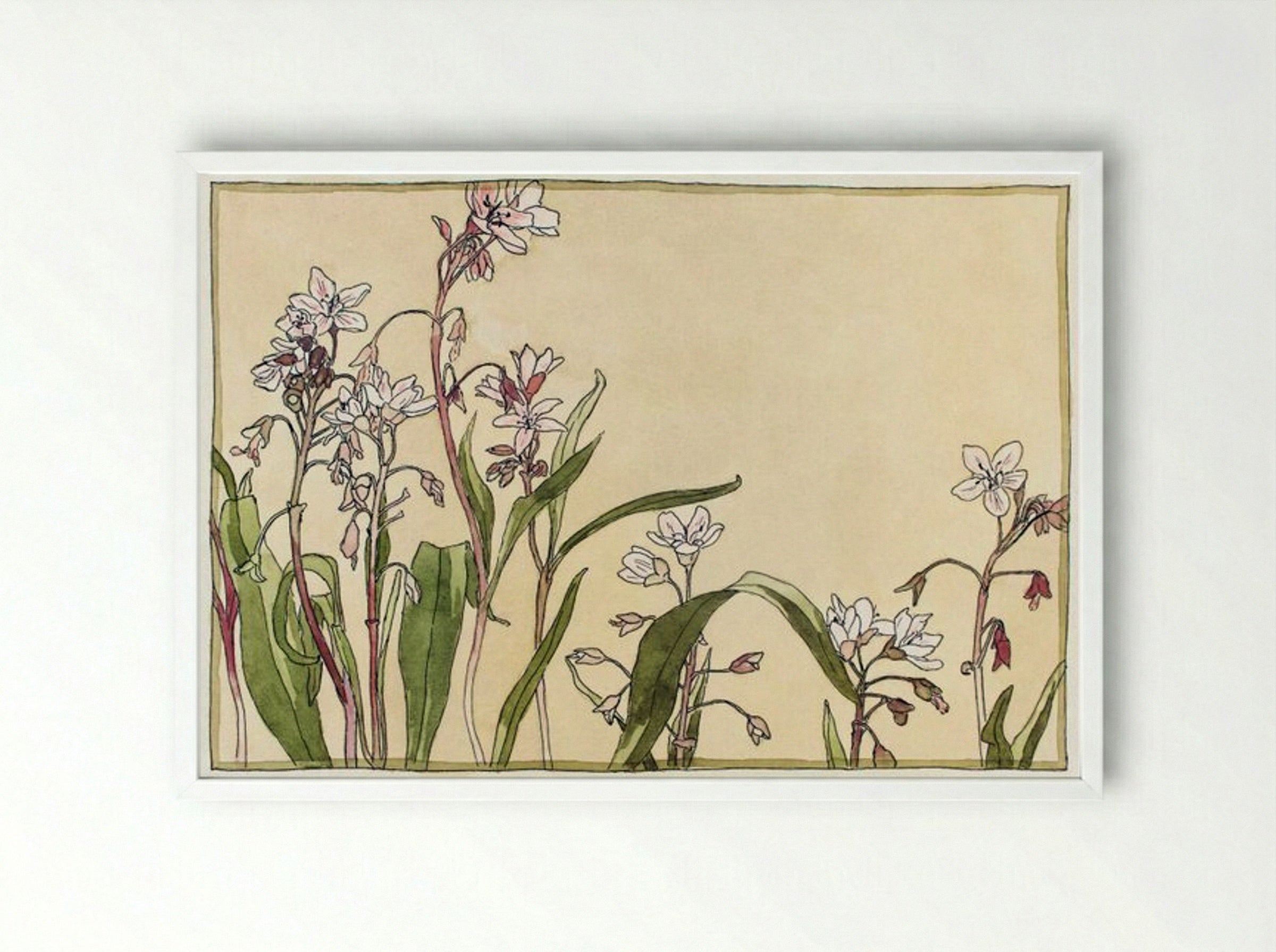 Spring Beauty - Hannah Borger Overbeck - Framed Print White