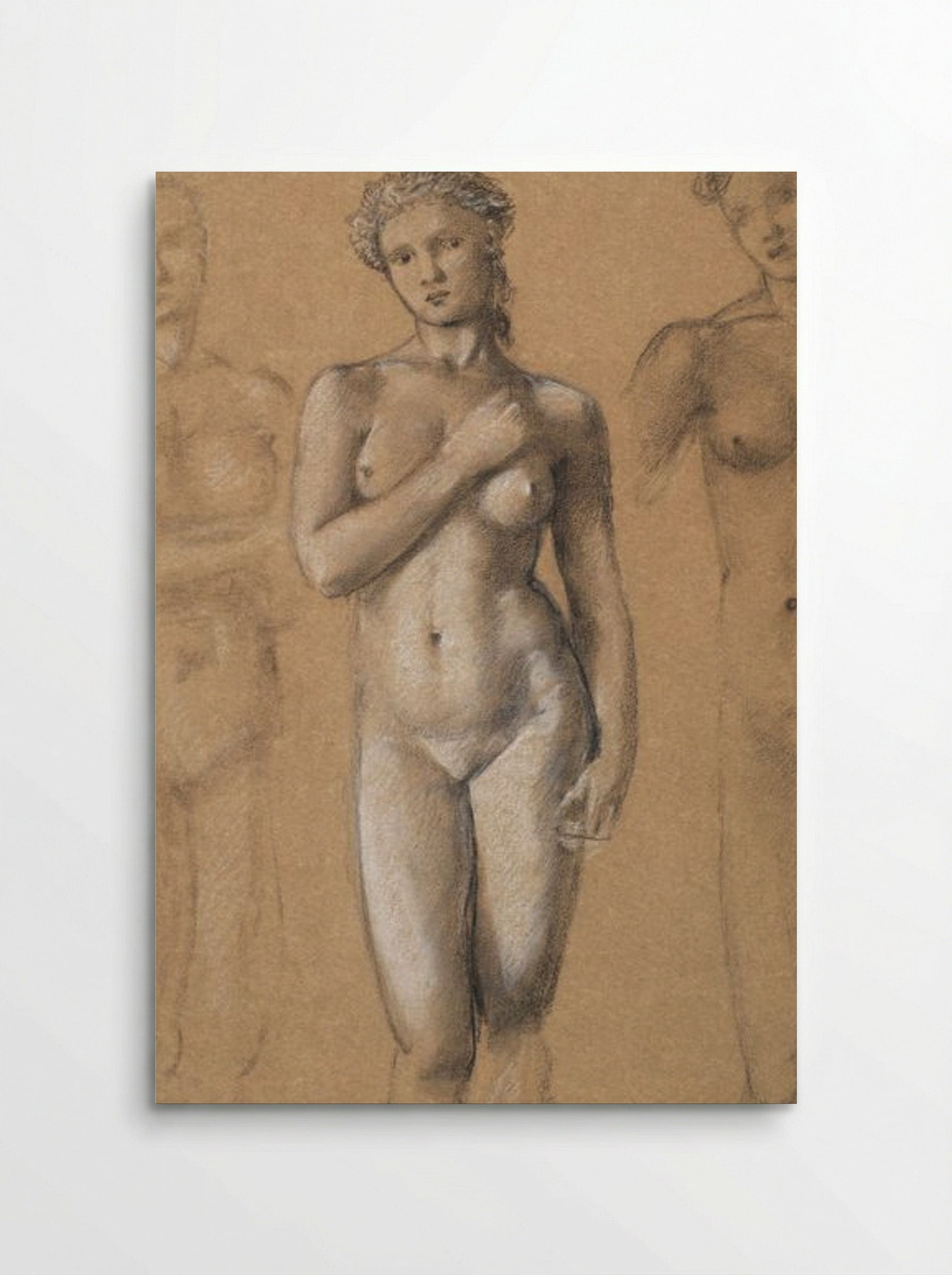 Female Nude, Three Studies (Possibly for Venus) - Edward Burne-Jones - Poster