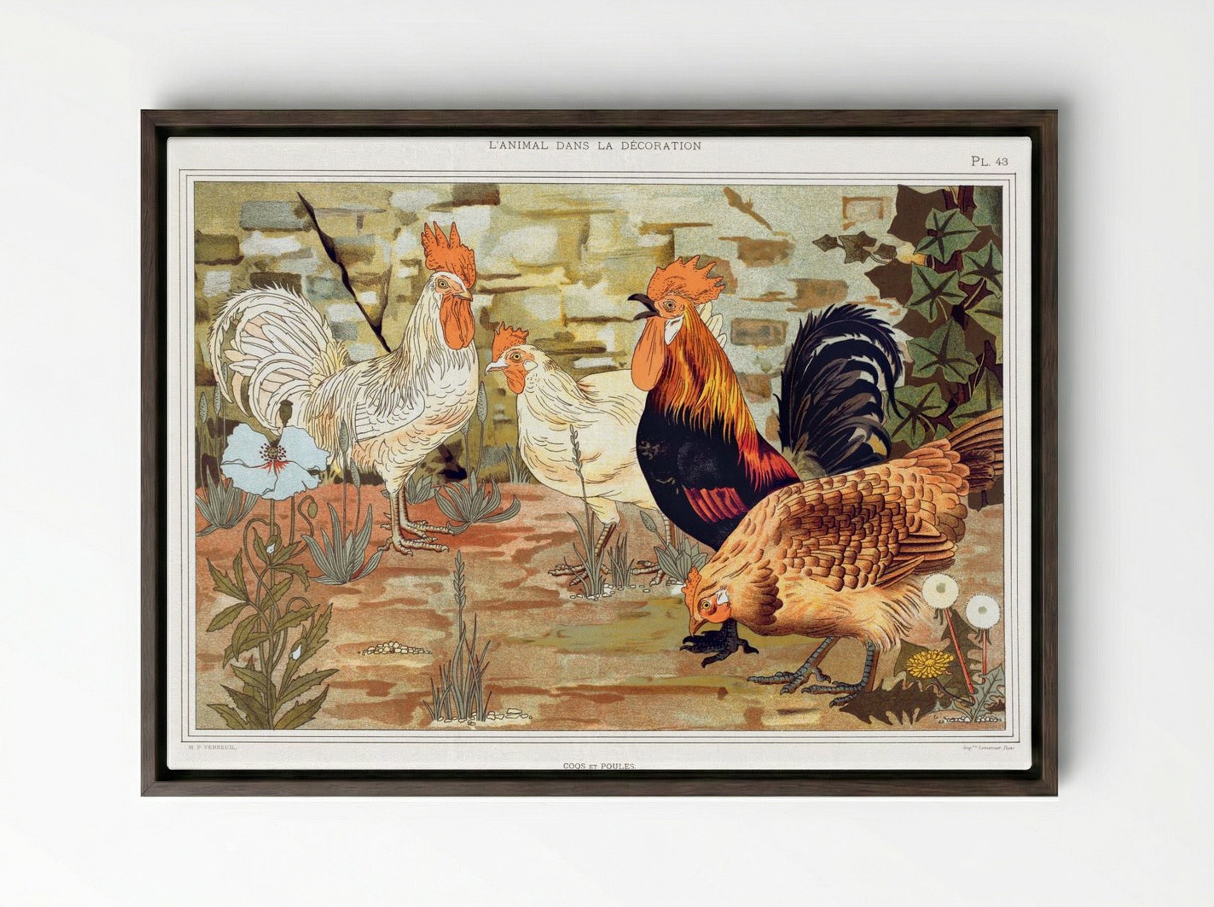 Coqs et Poules (From L'animal dans la décoration) - Maurice Pillard Verneuil - Framed Canvas Dark Wood