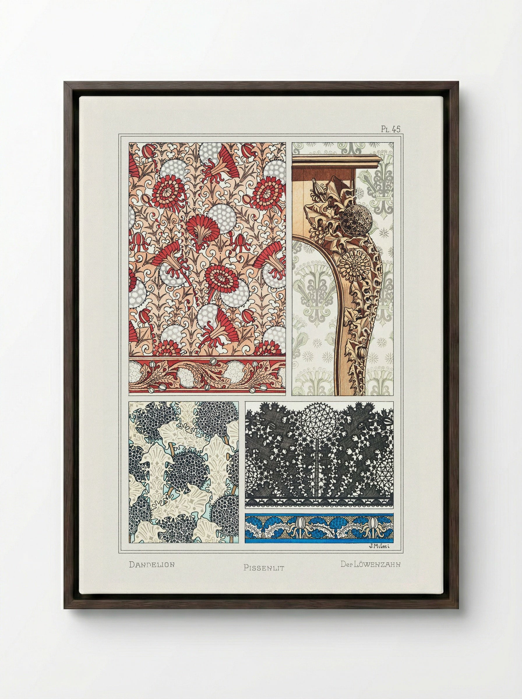 Pissenlit (Dandelion) from La Plante et ses Applications ornementales - Maurice Pillard Verneuil - Framed Canvas Dark Wood