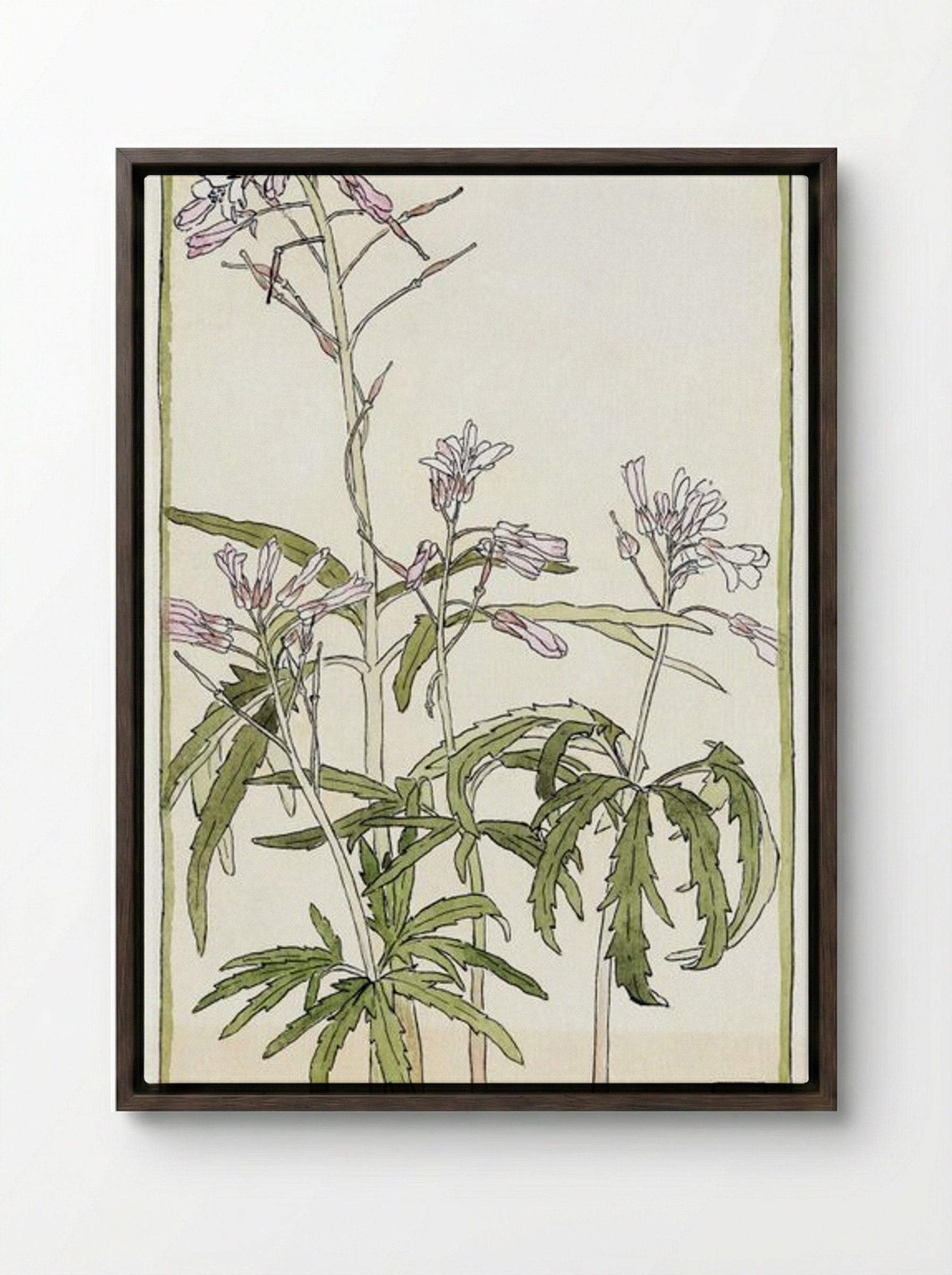 Pink Flowers with Spiky Green Leaves - Hannah Borger Overbeck - Framed Canvas Dark Wood
