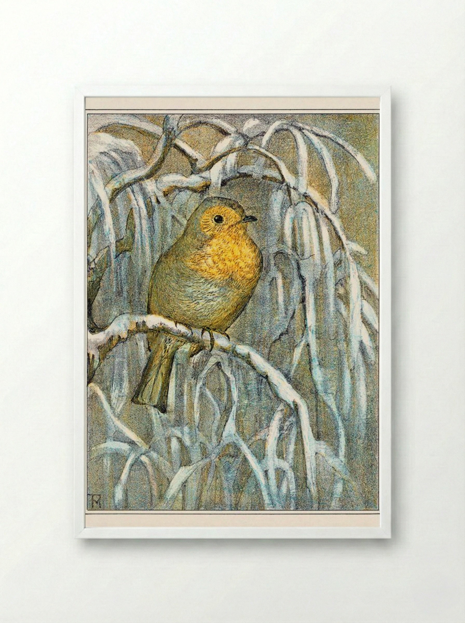 Robin on Snowy Branch - Theo van Hoytema - Framed Print White