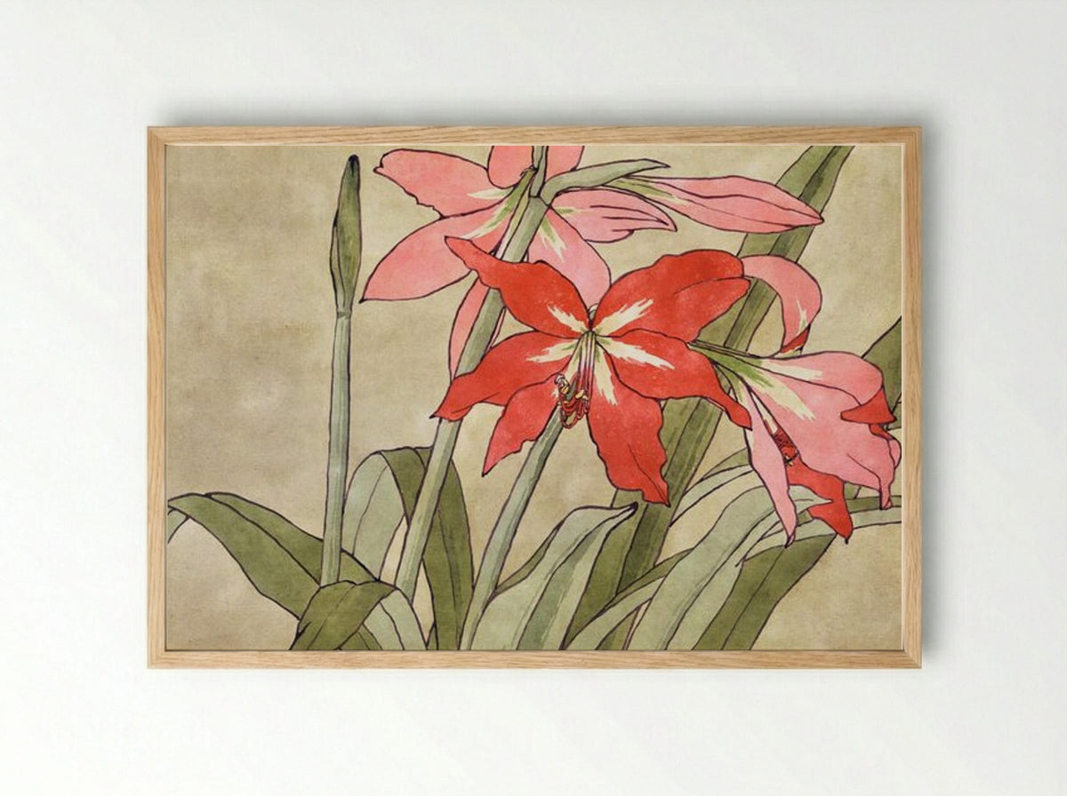 Amaryllis - Hannah Borger Overbeck - Framed Print Wood