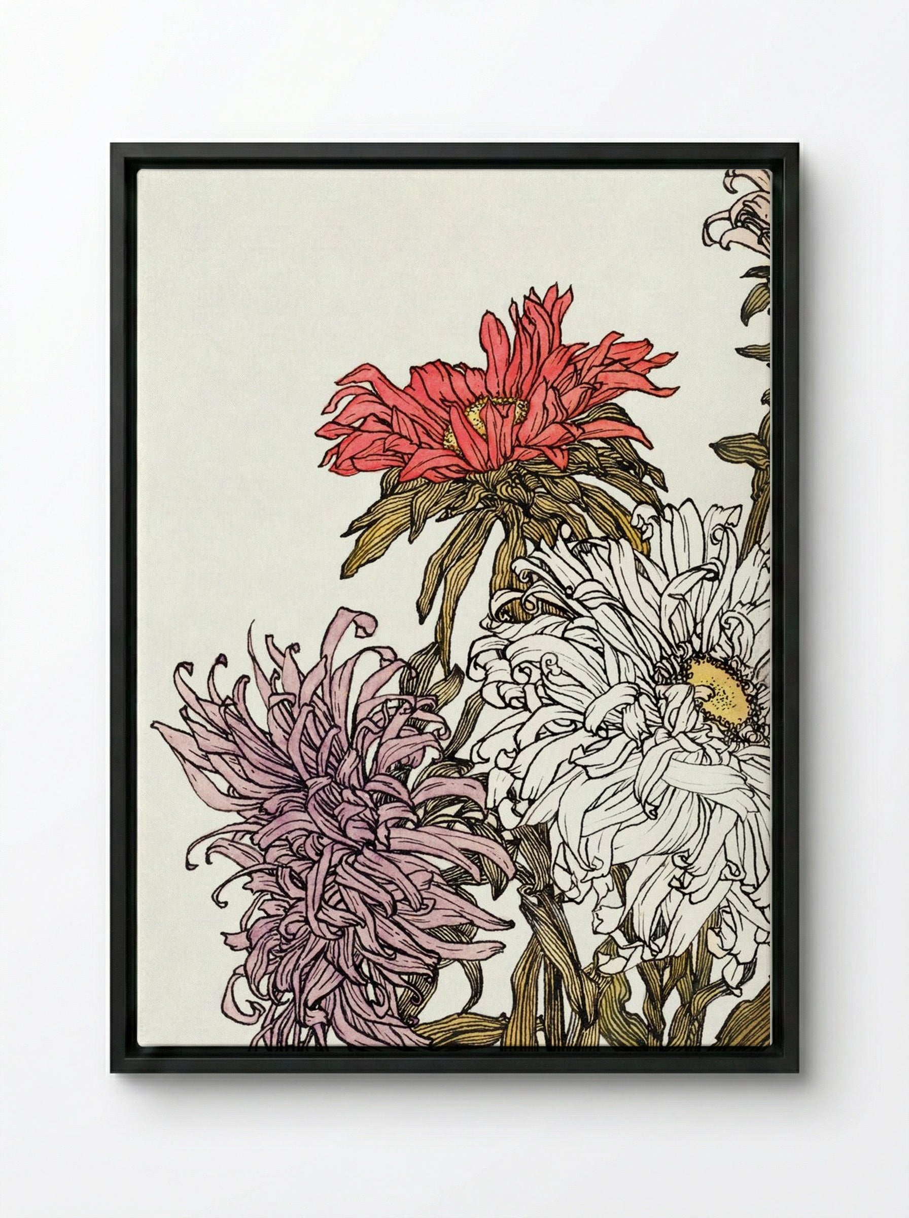 Chrysanthemums - Julie de Graag - Framed Canvas Black