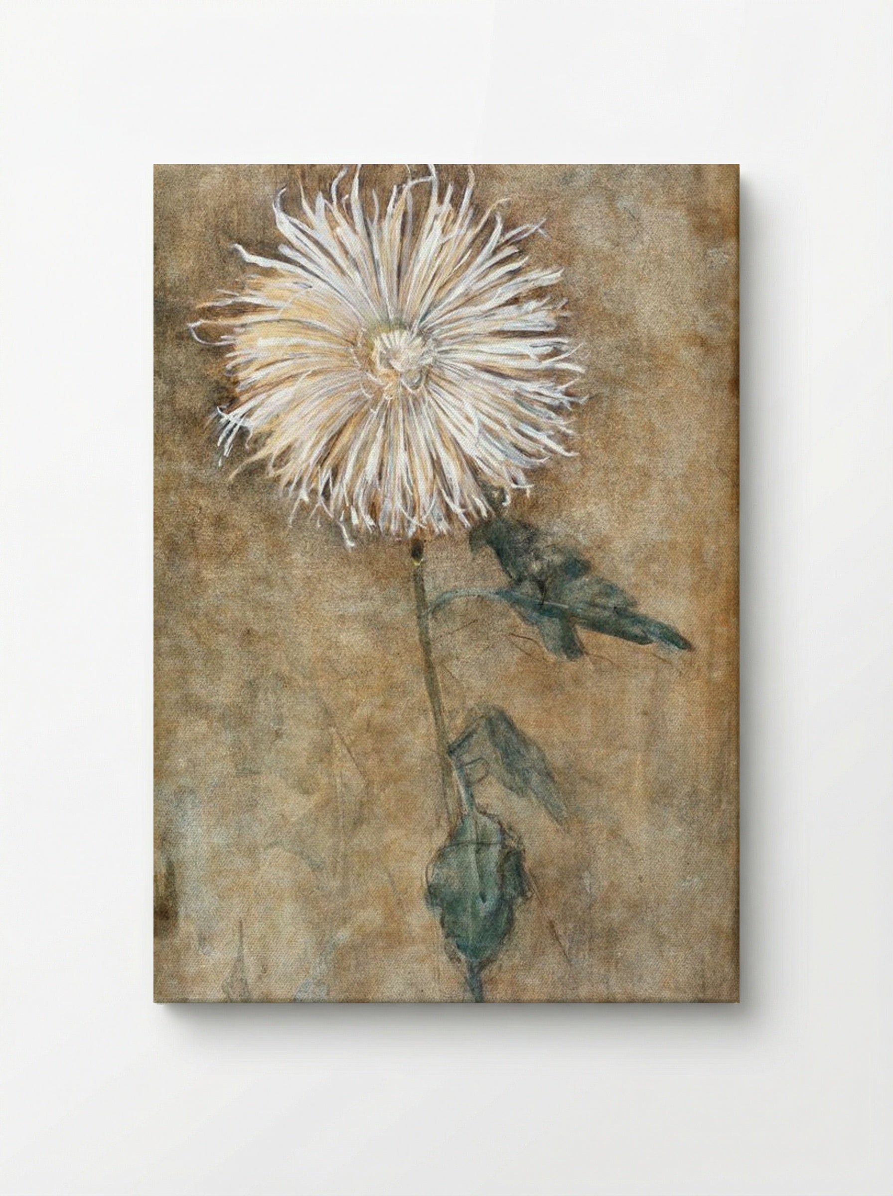 Chrysanthemum - Piet Mondrian - Canvas