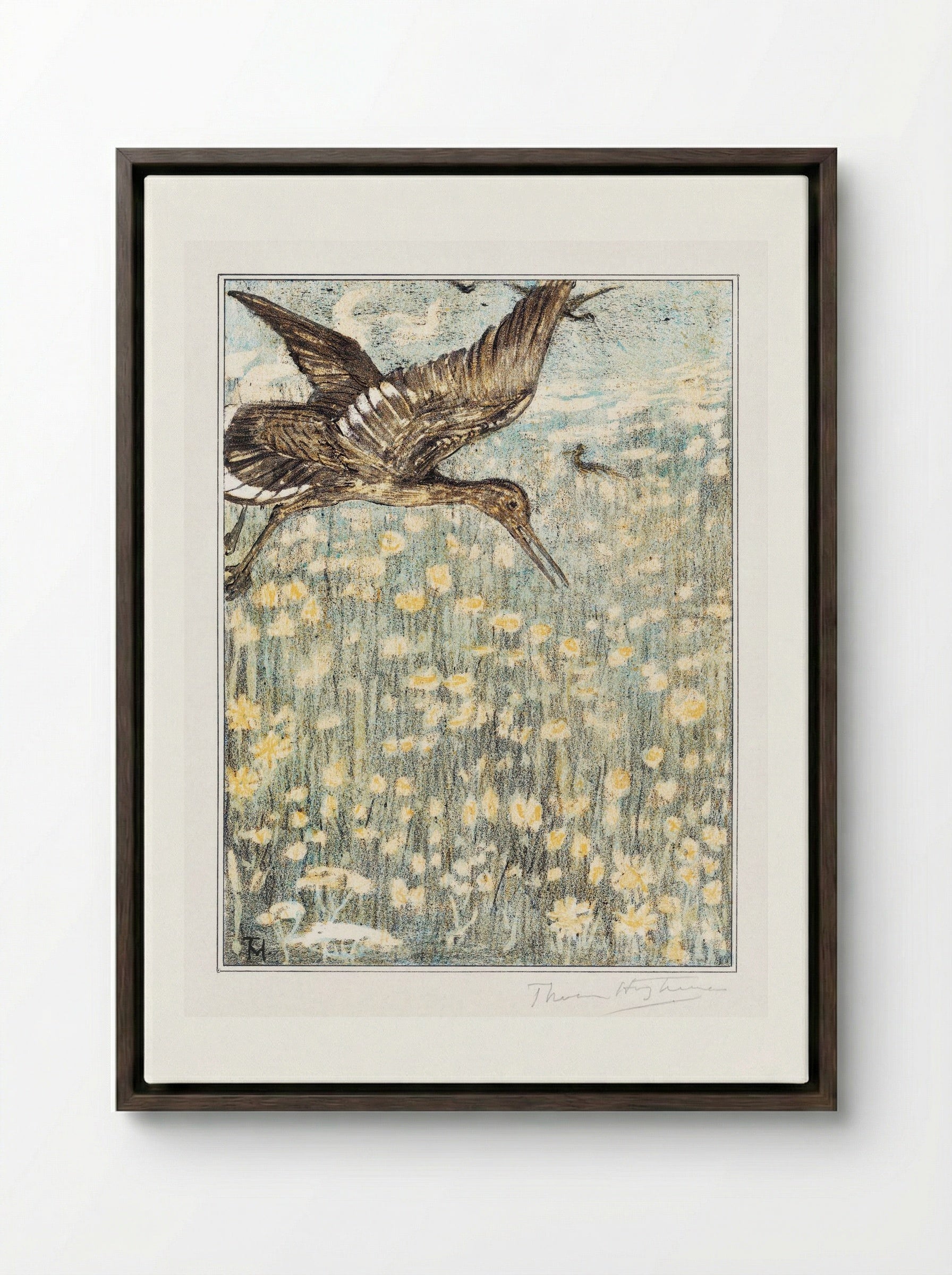 Tureluur (Redshank) - Theo van Hoytema - Framed Canvas Dark Wood