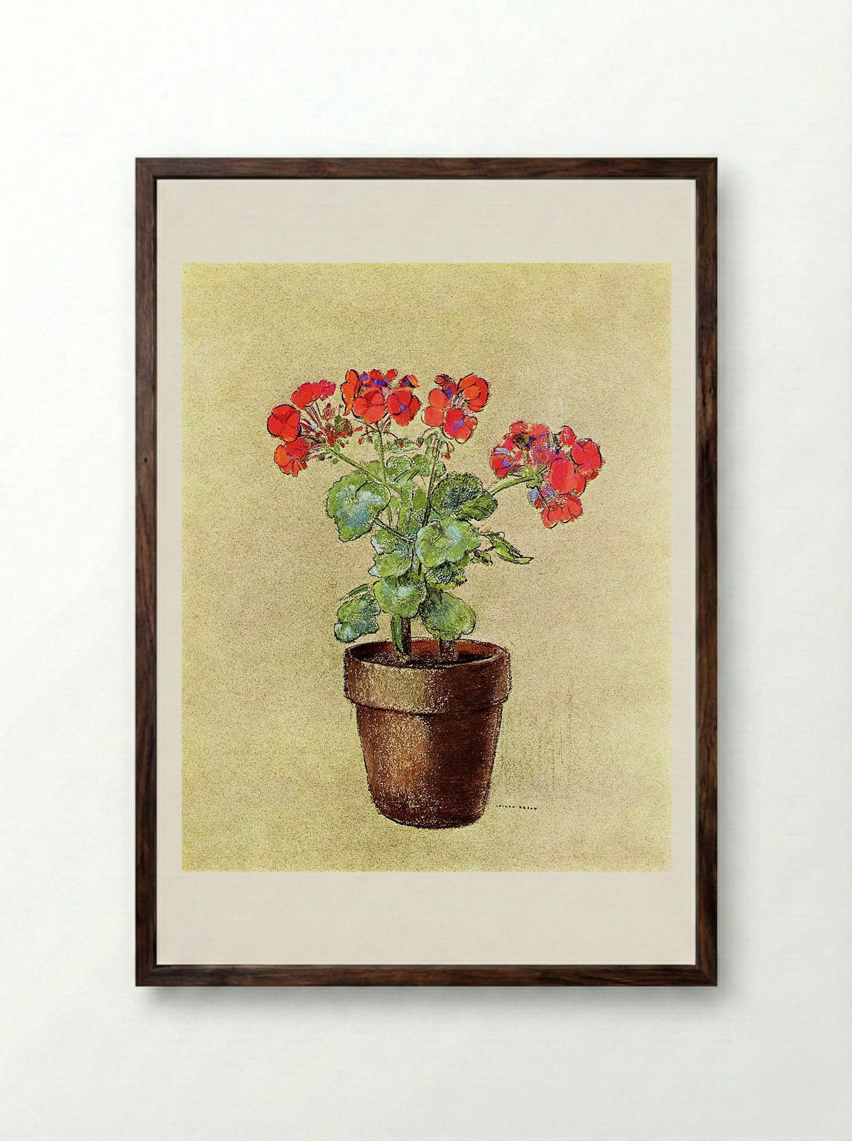 Geraniums - Fritz Reiss - Framed Print Dark Wood