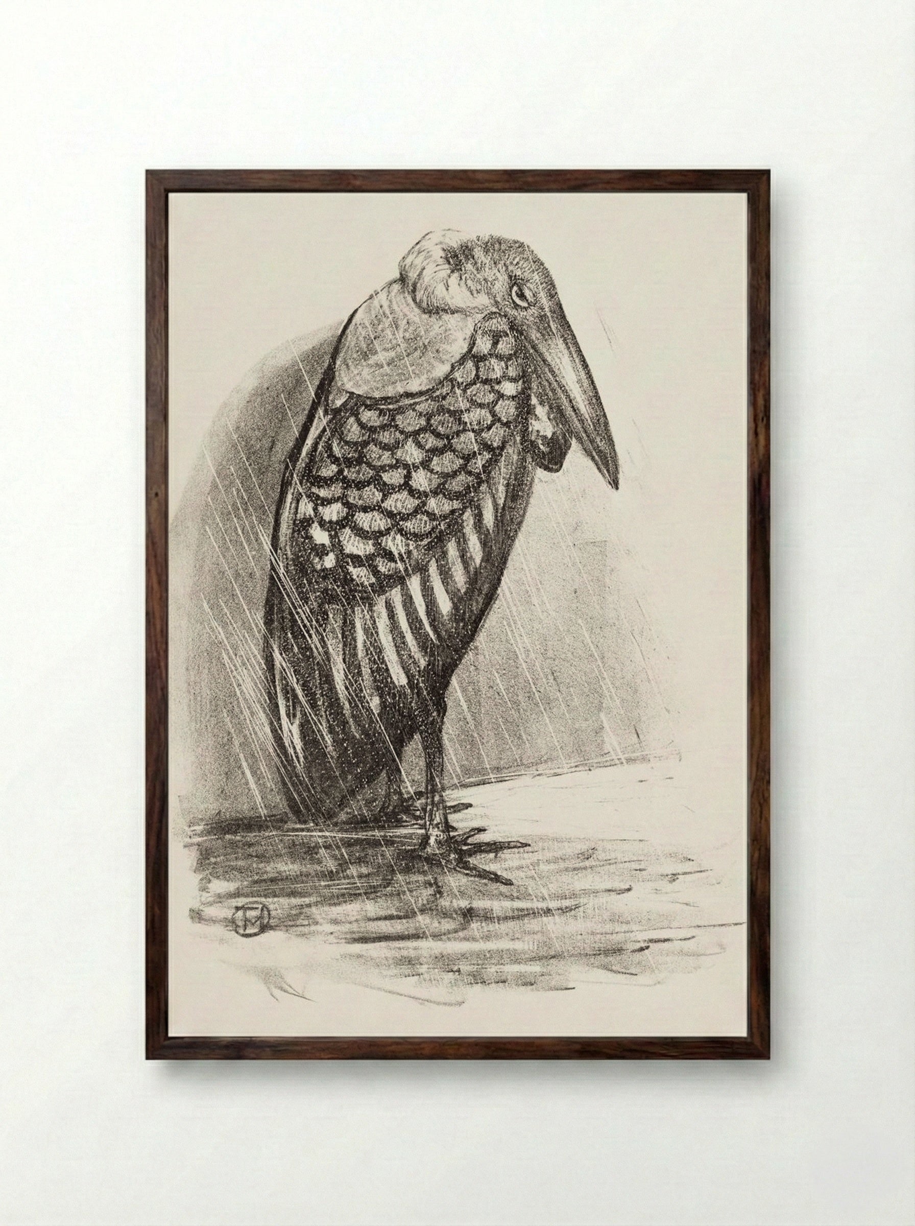 Marabou in the Rain - Theo van Hoytema - Framed Print Dark Wood