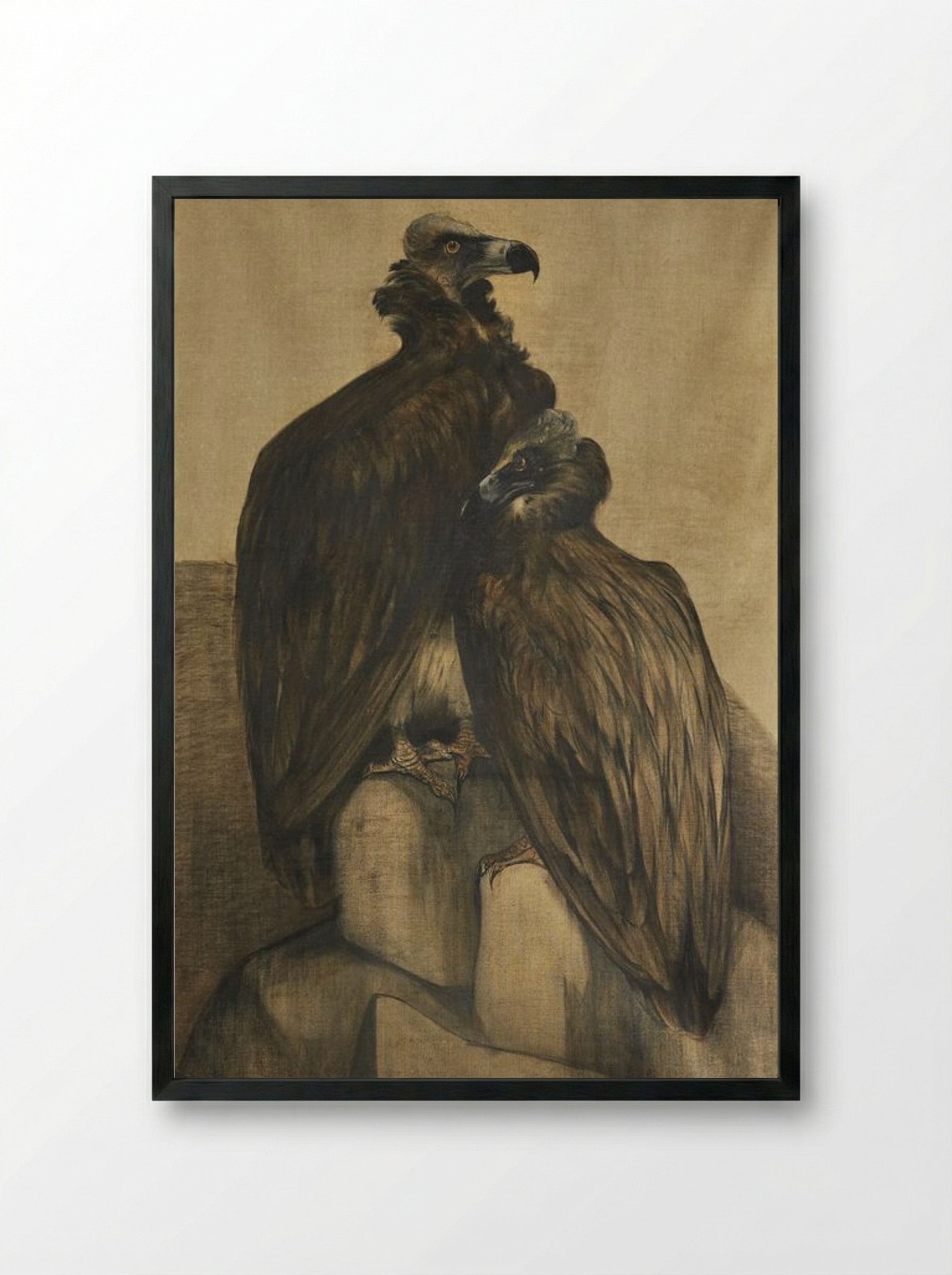 Two Arabian Vultures - Theo van Hoytema - Framed Print Black