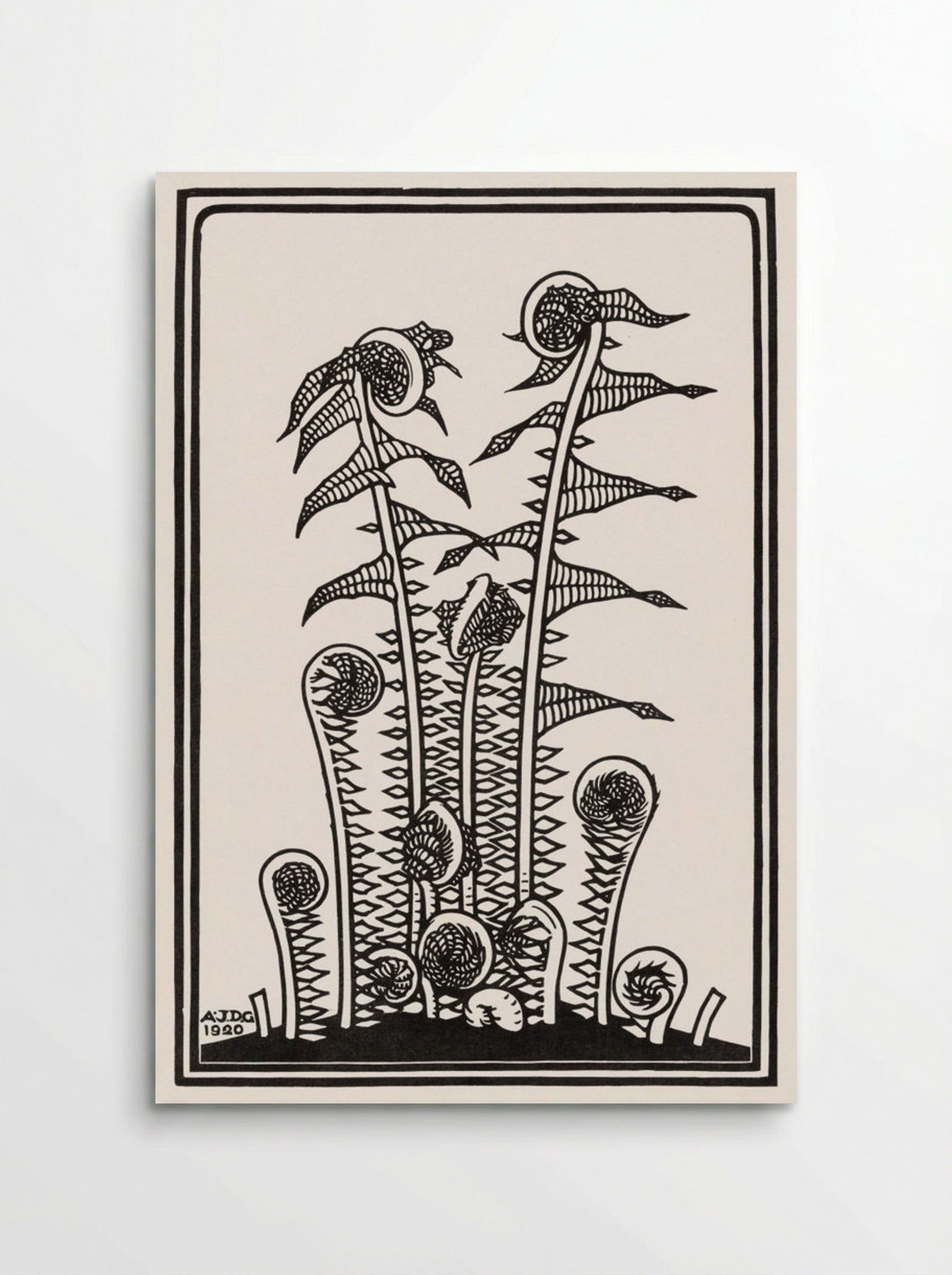 Ferns - Julie de Graag - Poster