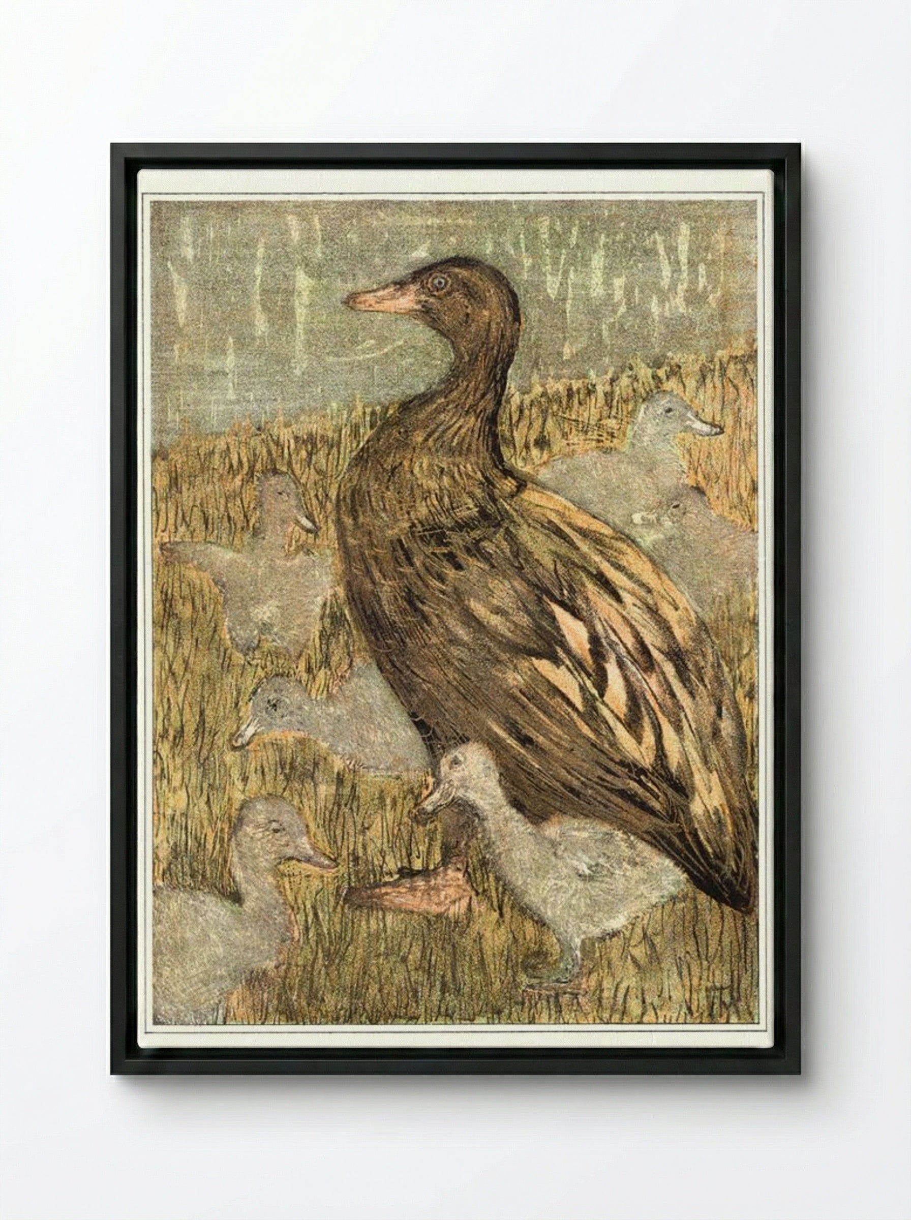Duck with Ducklings by the Waterside - Theo van Hoytema - Framed Canvas Black