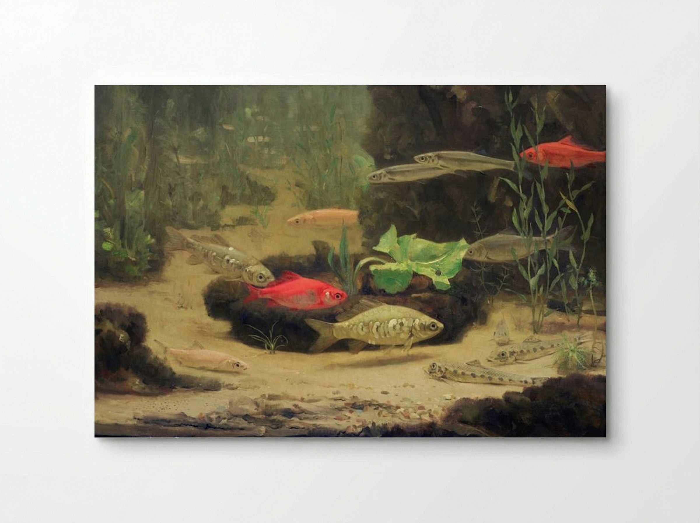 Gold and Silverfish in an Aquarium - Gerrit Willem Dijsselhof - Poster