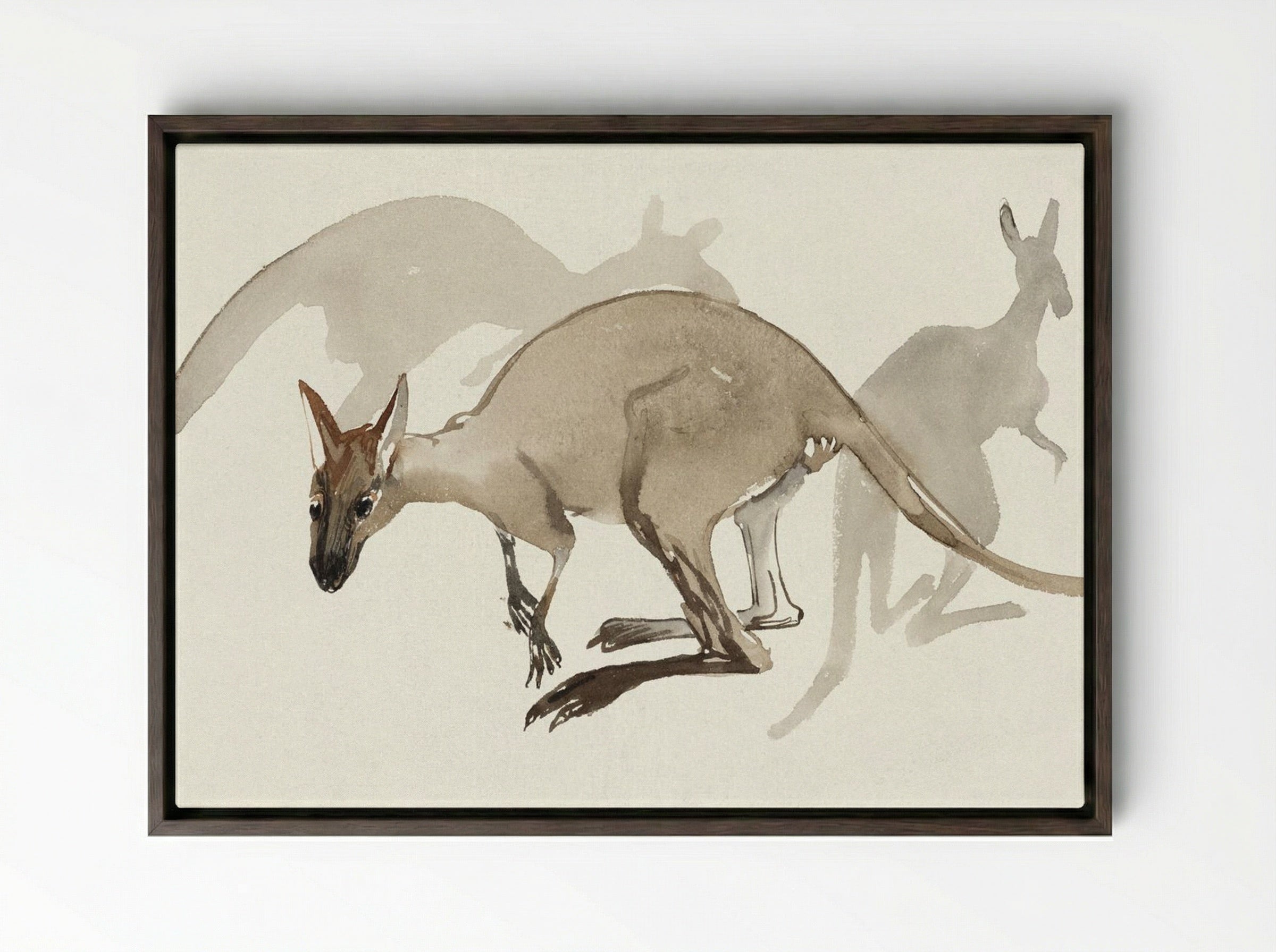 Kangaroos - Theo van Hoytema - Framed Canvas Dark Wood