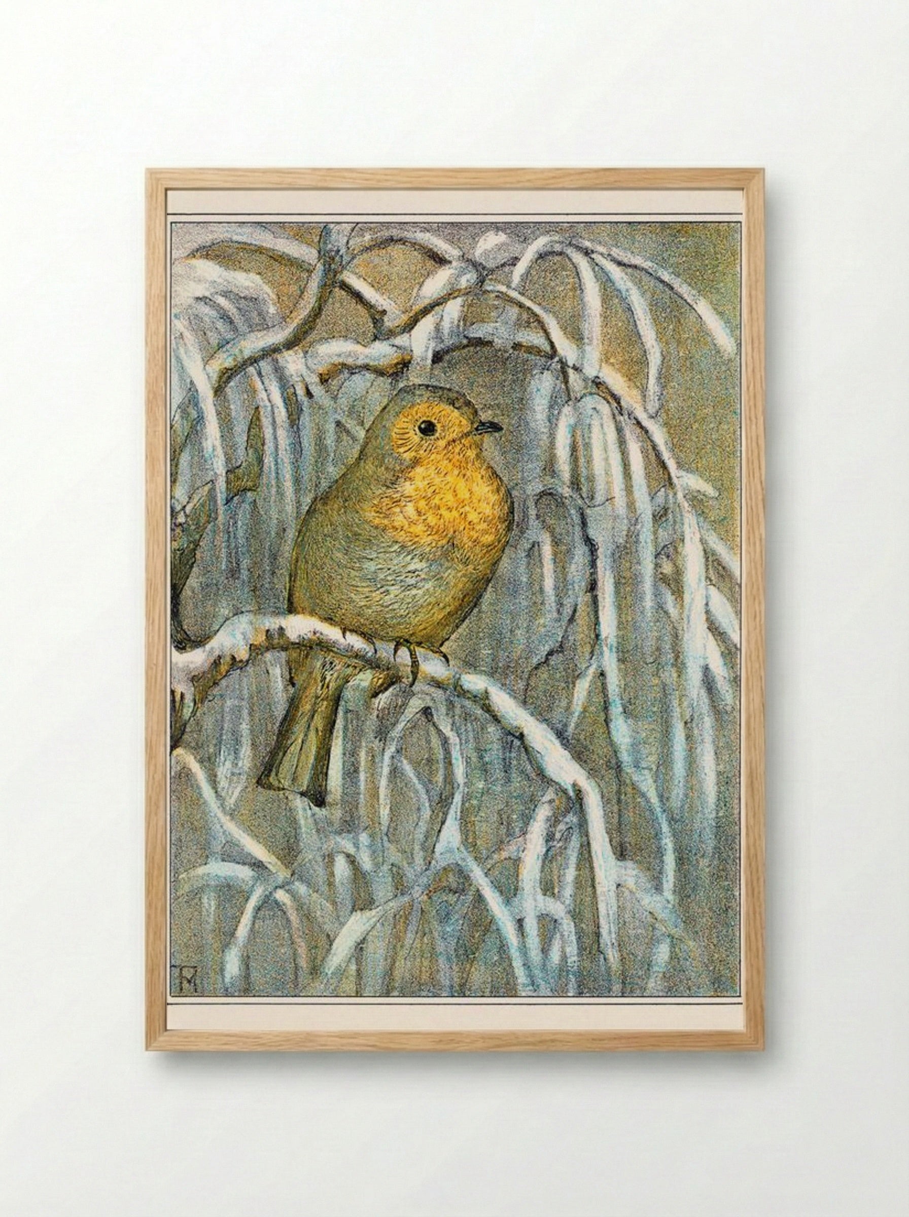 Robin on Snowy Branch - Theo van Hoytema - Framed Print Wood
