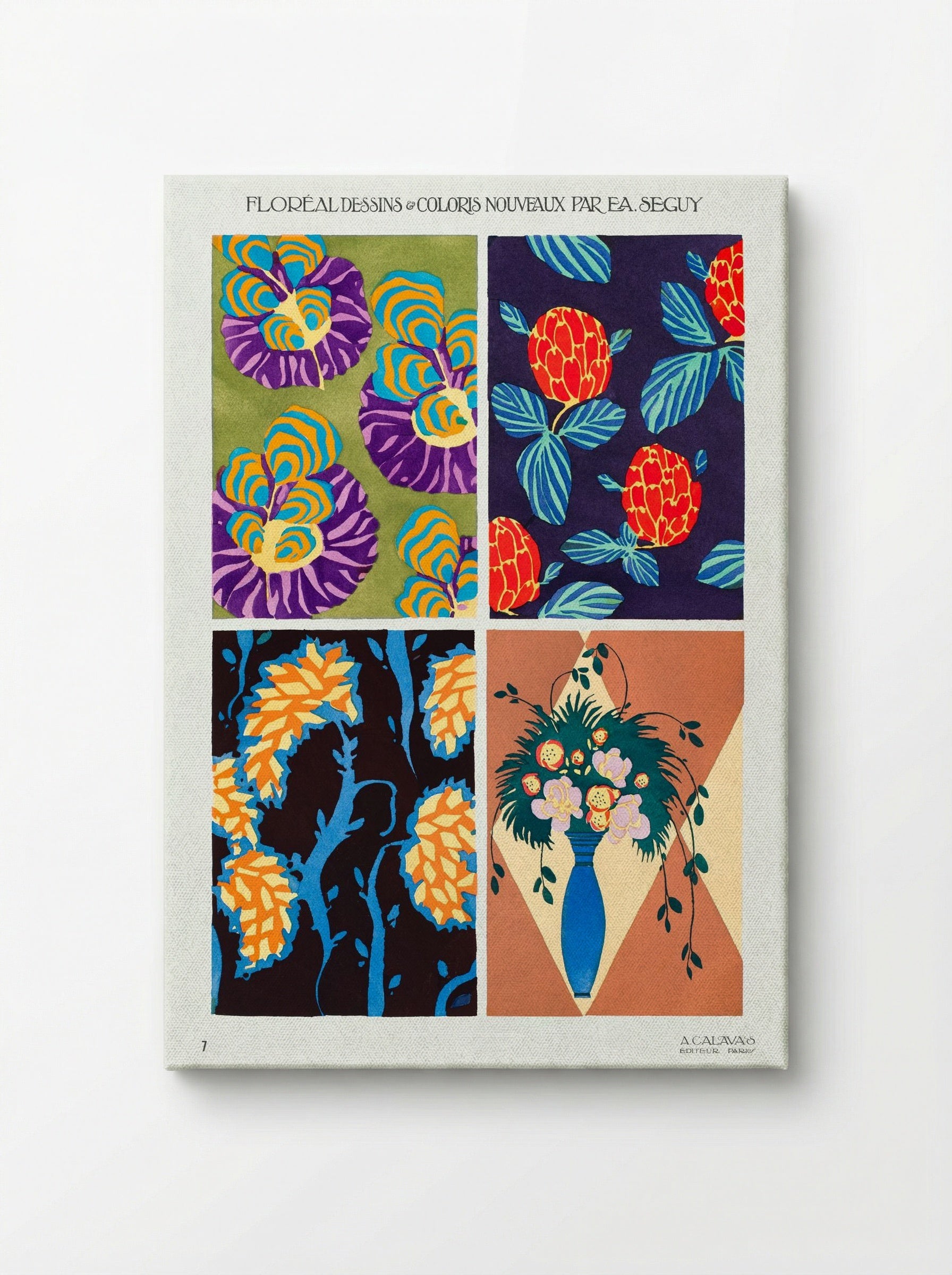 Floréal Dessins & Coloris Nouveaux - Émile-Allain Séguy - Canvas