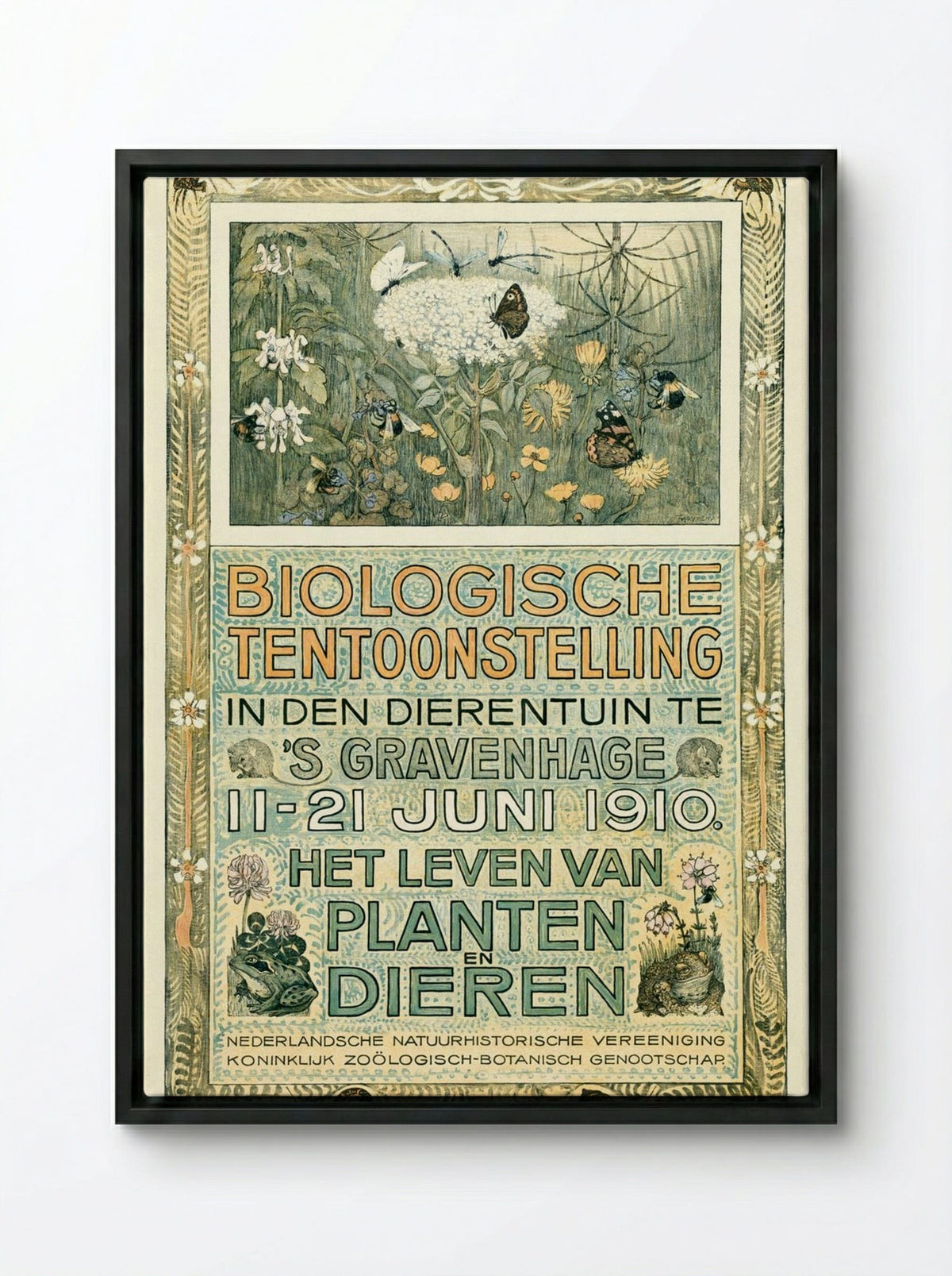 Poster of the Biologische Tentoonstelling (Biological Exhibition) - Theo van Hoytema - Framed Canvas Black
