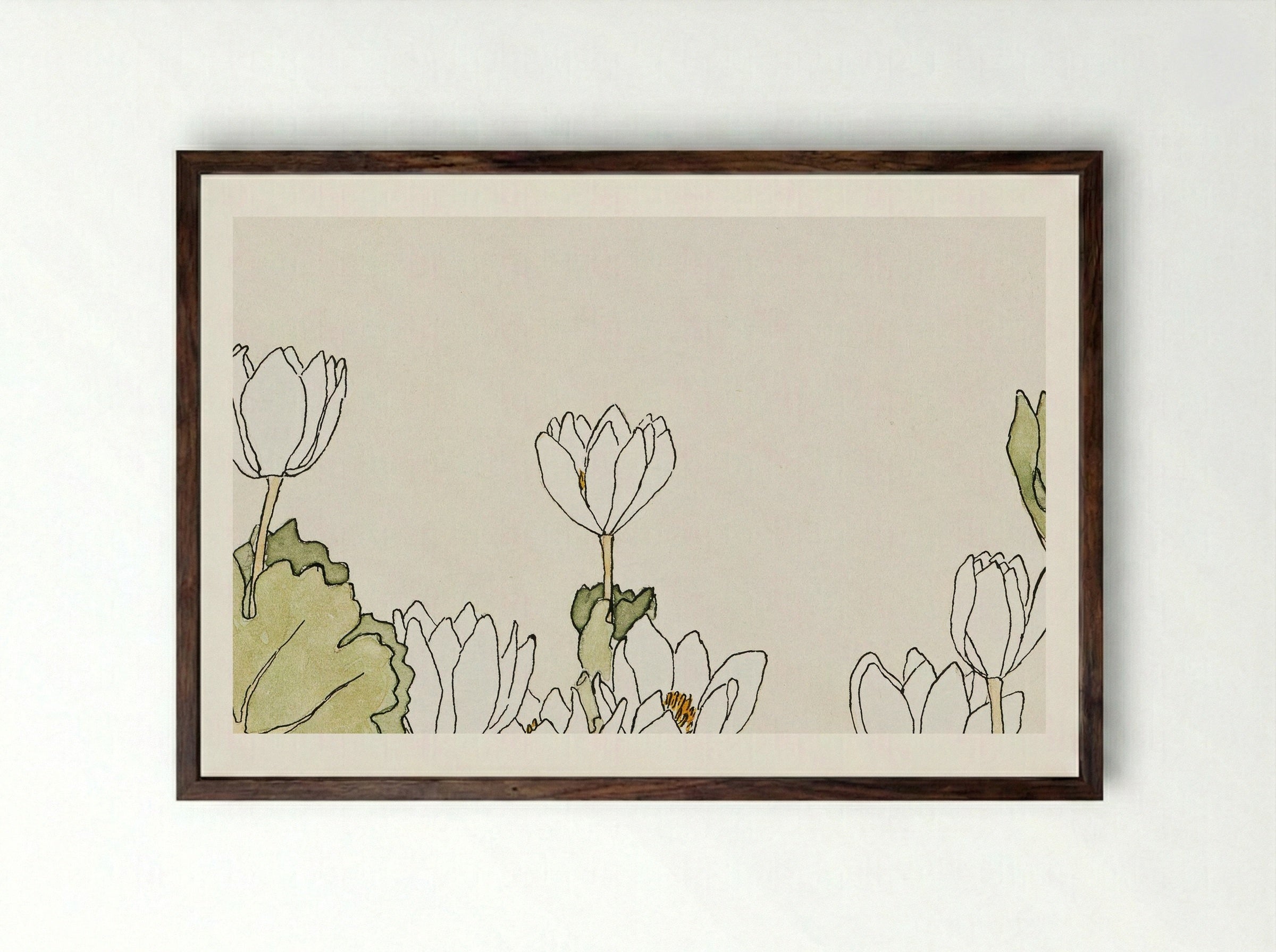 Blood Root (1915) - Hannah Borger Overbeck - Framed Print Dark Wood