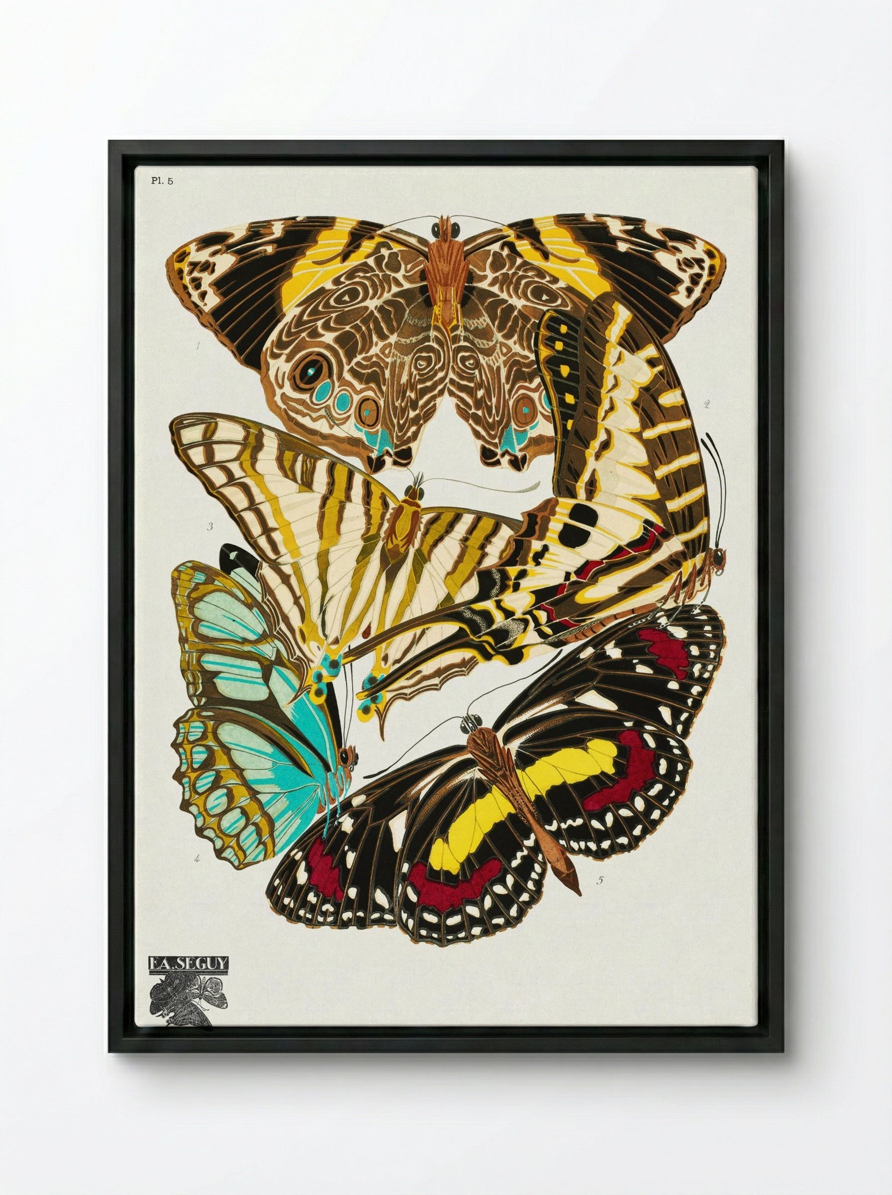 Butterflies, Plate 5 - Émile-Allain Séguy - Framed Canvas Black