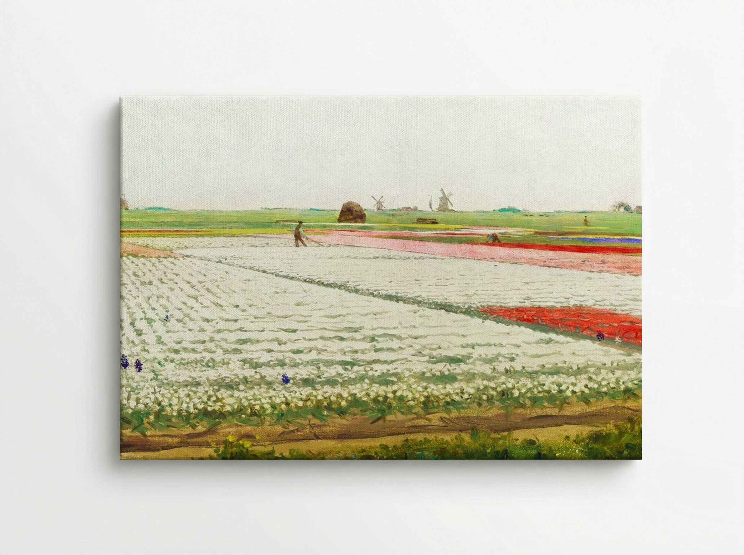 Tulip Fields - Gerrit Willem Dijsselhof - Canvas