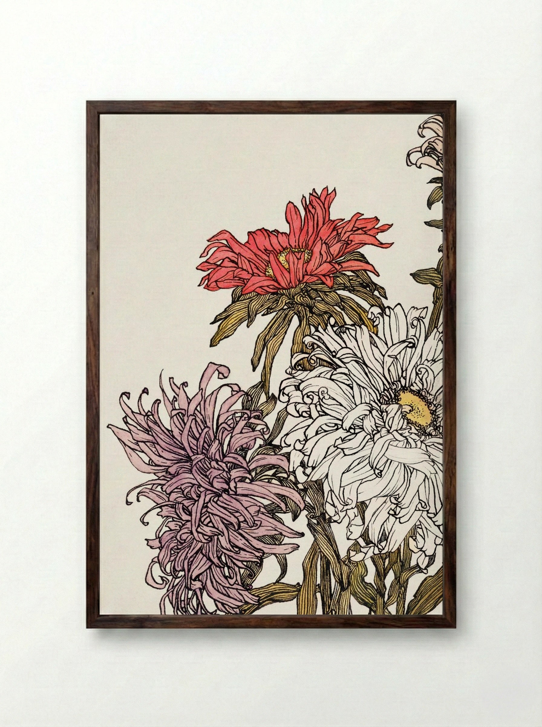 Chrysanthemums - Julie de Graag - Framed Print Dark Wood