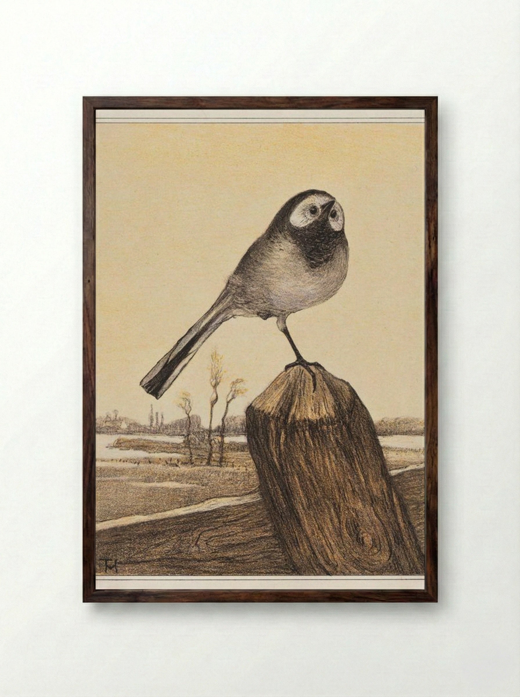 Kwikstaart op paal (Wagtail on a Post) - Theo van Hoytema - Framed Print Dark Wood