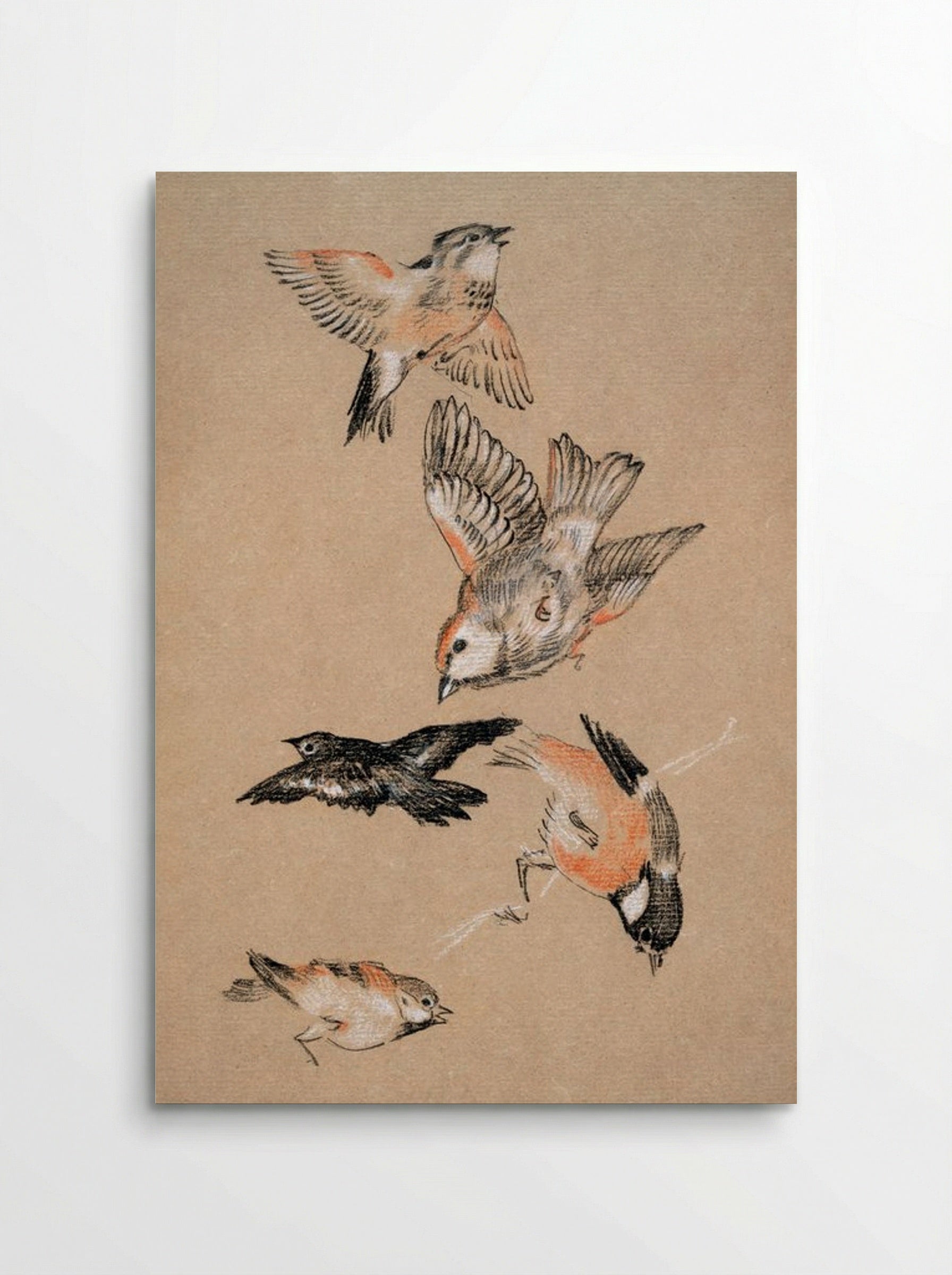 Study of Finches (for 'Love Leading the Pilgrim') - Edward Burne-Jones - Poster