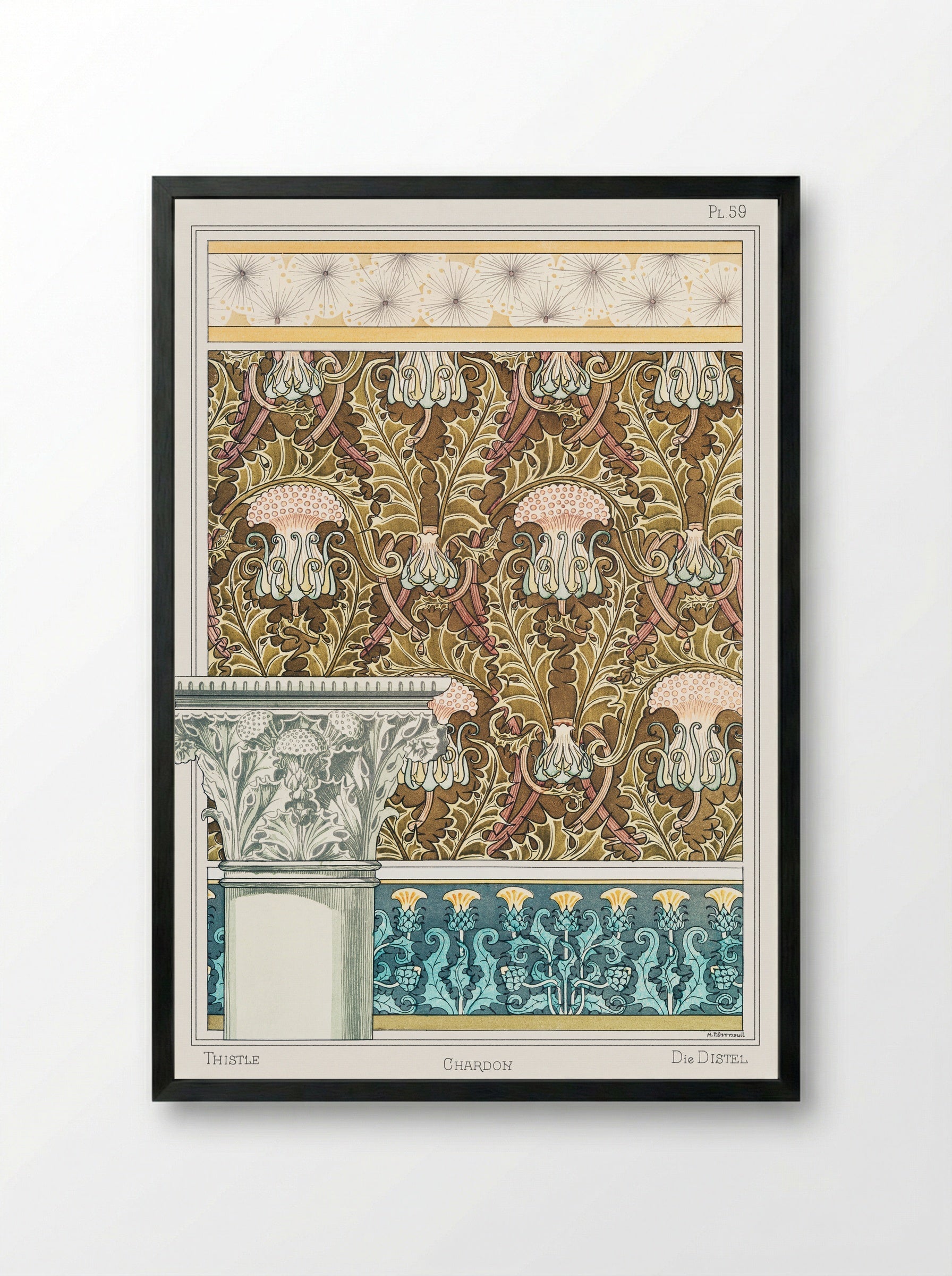 Chardon (Thistle) from La Plante et ses Applications ornementales - Maurice Pillard Verneuil - Framed Print Black