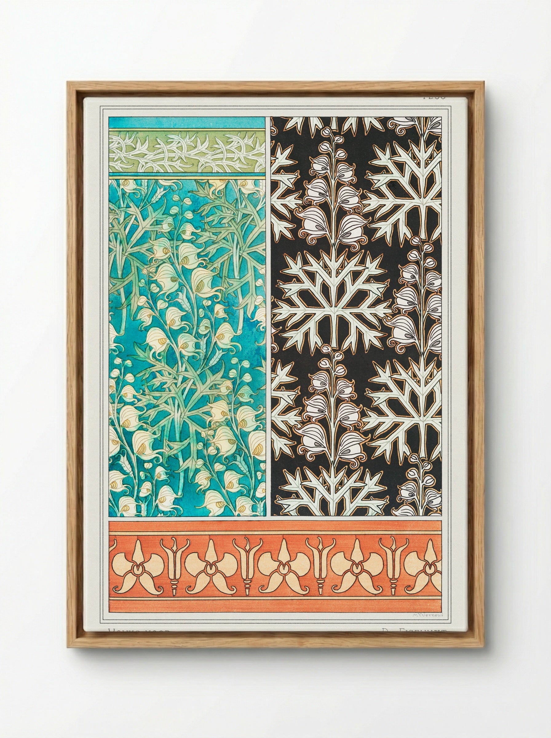 Aconite (Monkshood) from La Plante et ses Applications ornementales - Maurice Pillard Verneuil - Framed Canvas Wood