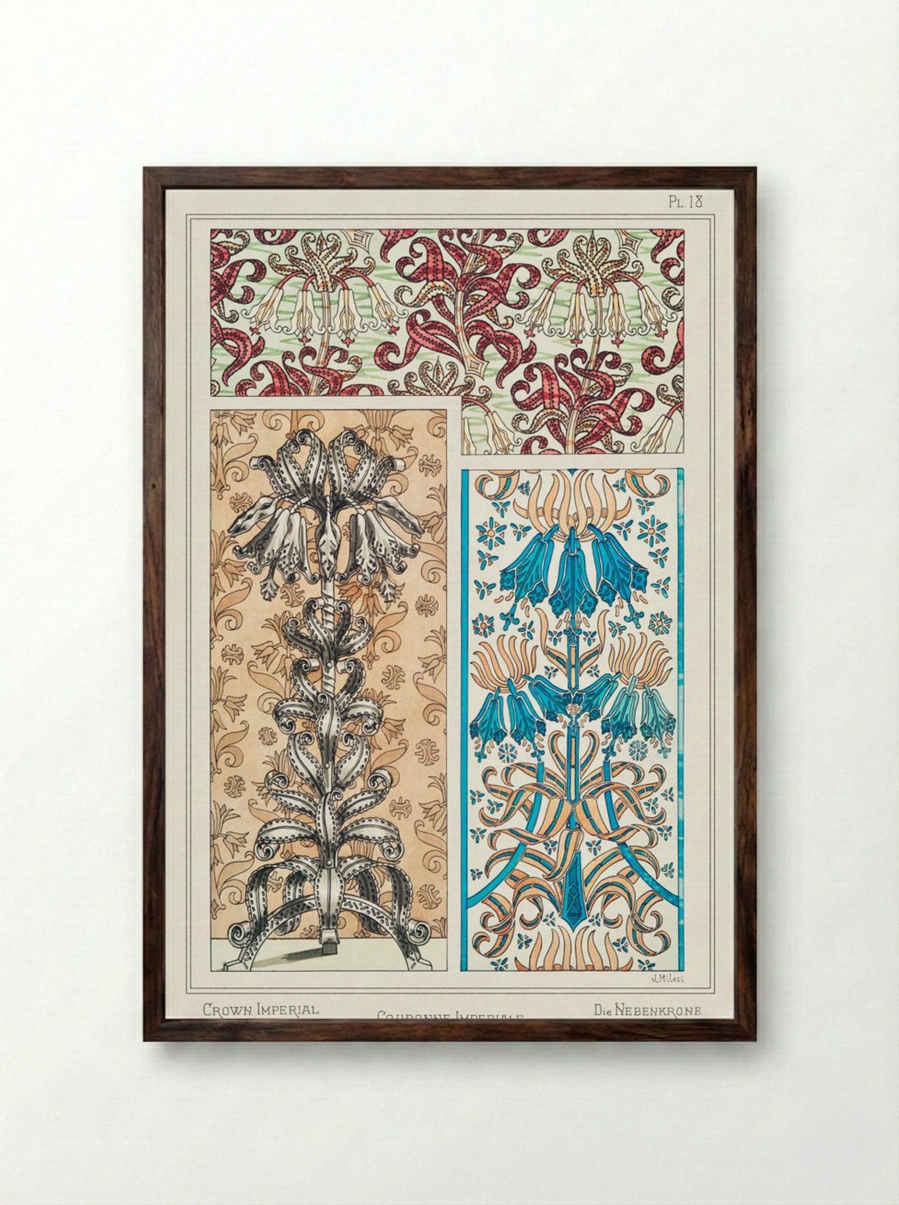 Couronne Impériale (Crown Imperial) from La Plante et ses Applications ornementales - Maurice Pillard Verneuil - Framed Print Dark Wood
