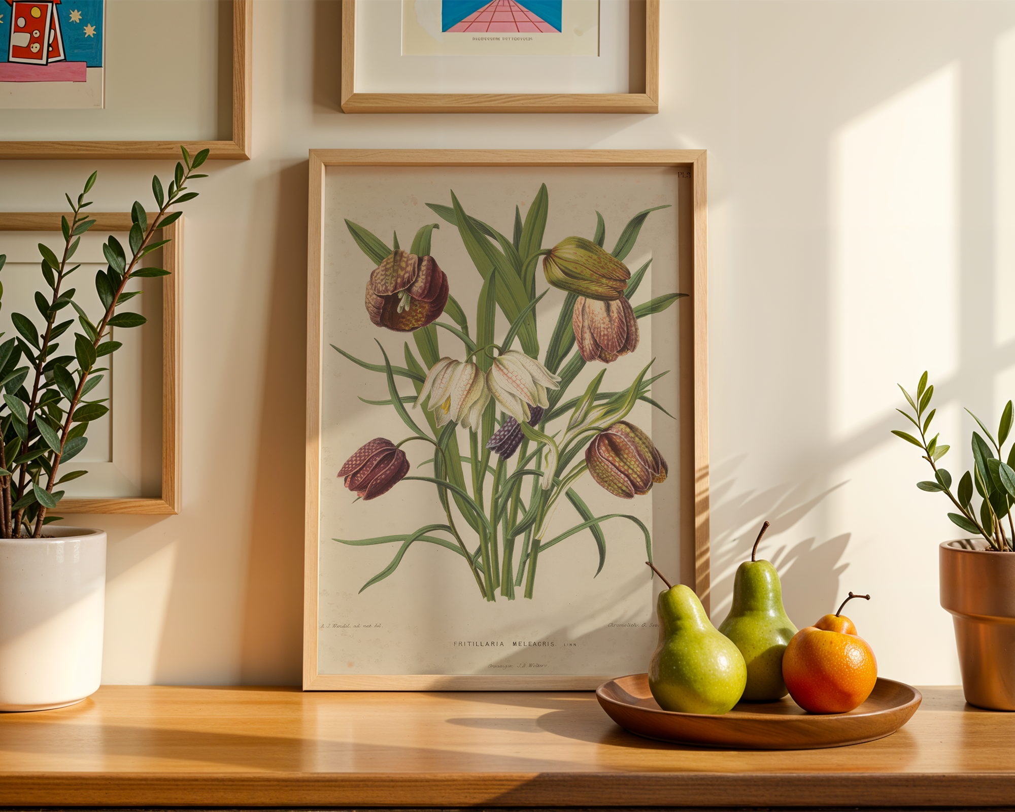 fritillaria-meleagris mockup
