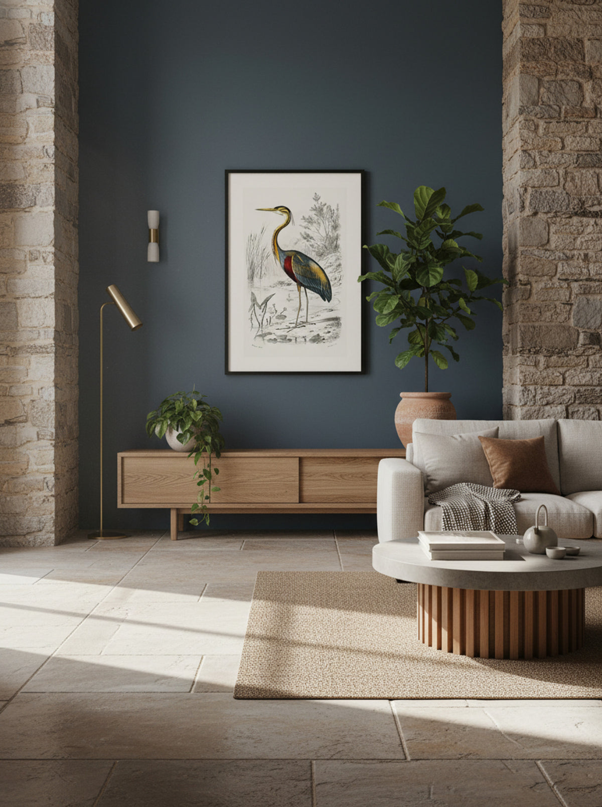 Purple Heron - Charles Dessalines D'Orbigny - Lifestyle