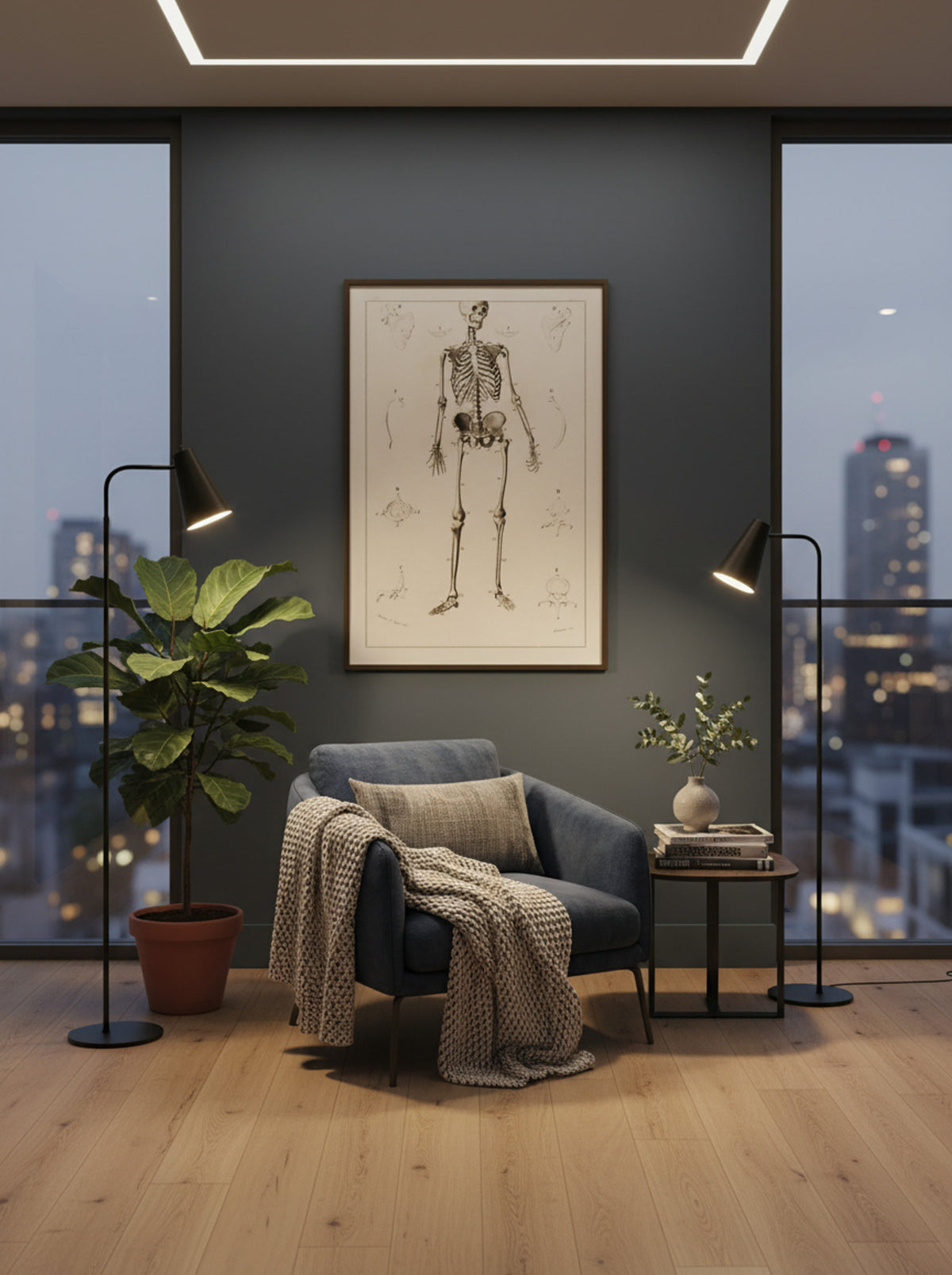 Human Skeleton - Charles Dessalines D'Orbigny - Lifestyle