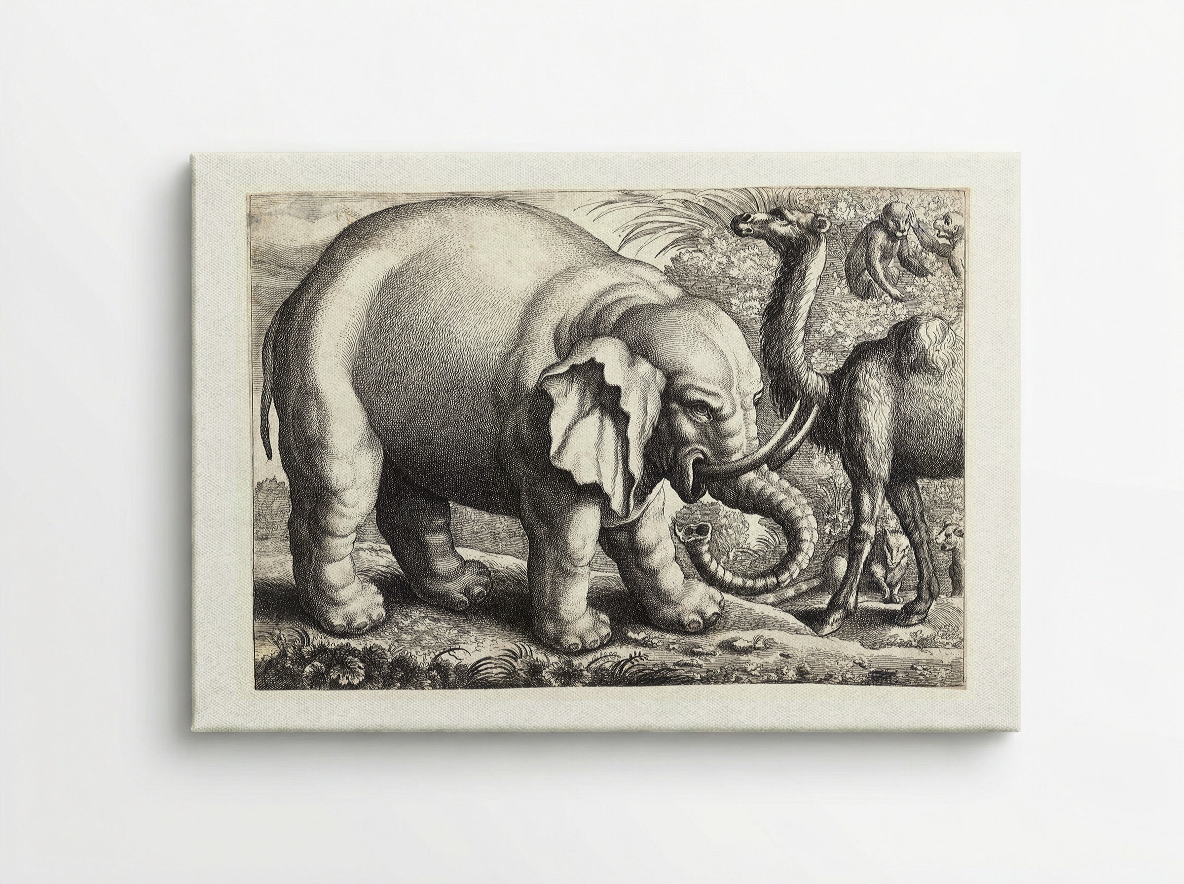 Elephant and Camel - Wenceslaus Hollar - Canvas