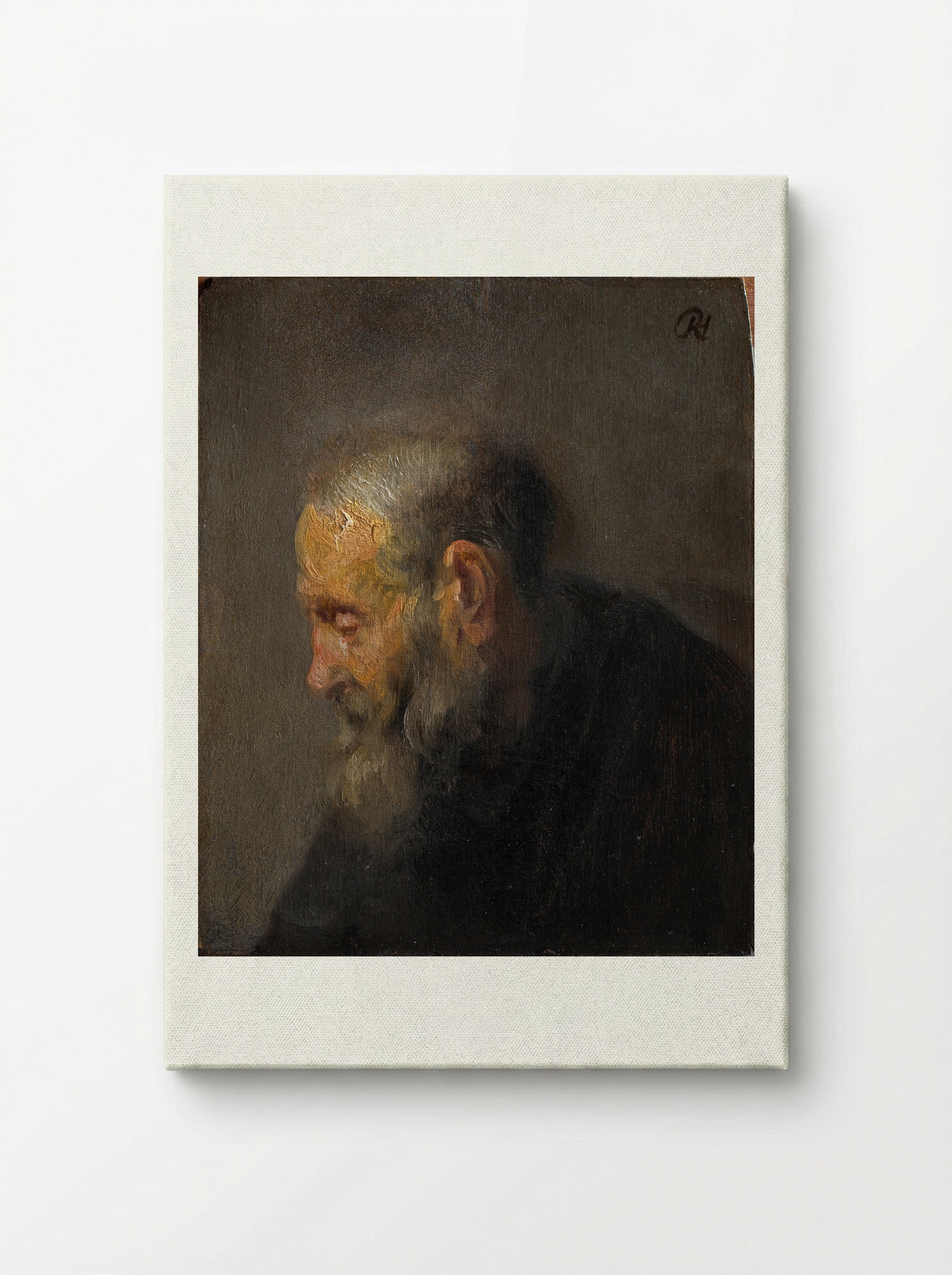 Study Head of an Old Man - Rembrandt van Rijn - Canvas