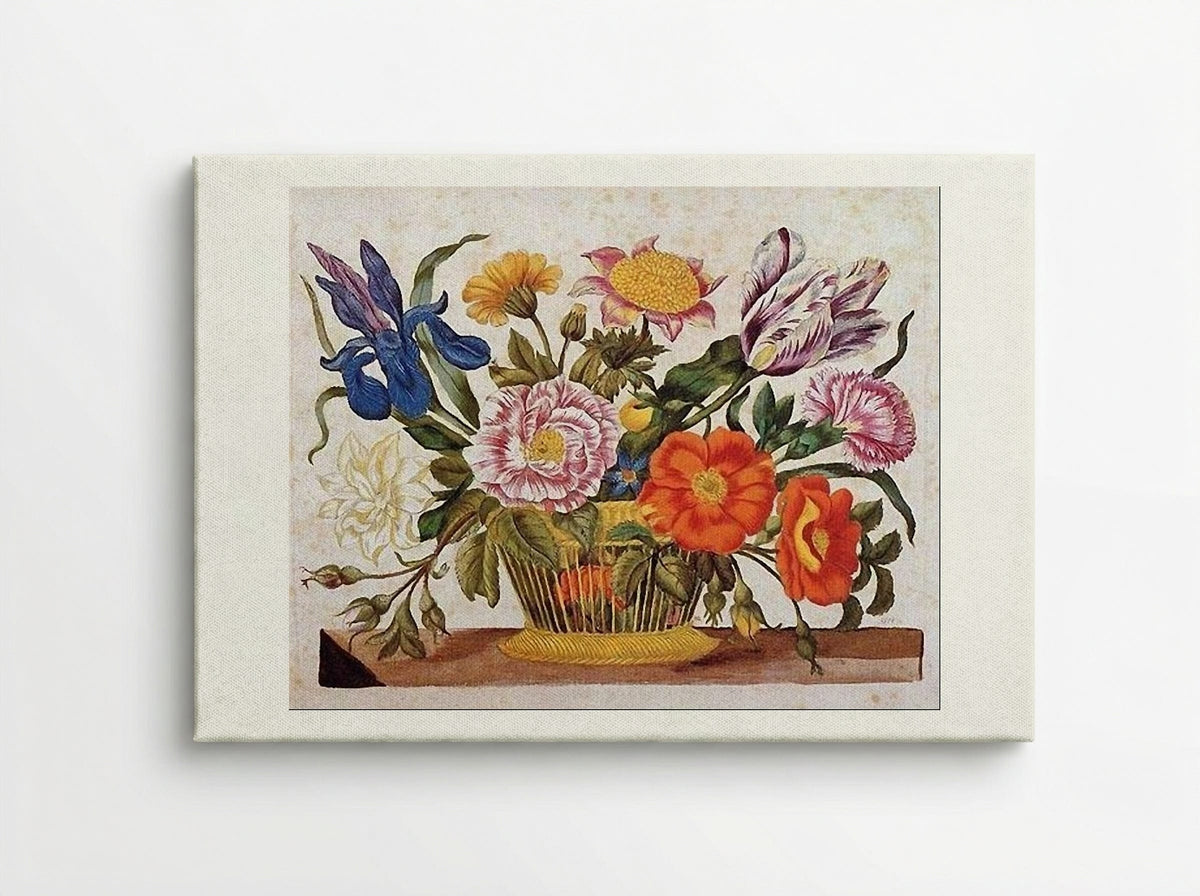 from Der Raupen wunderbare Verwandlung und sonderbare Blumennahrung, Plate CLXIX - Maria Sibylla Merian - Canvas