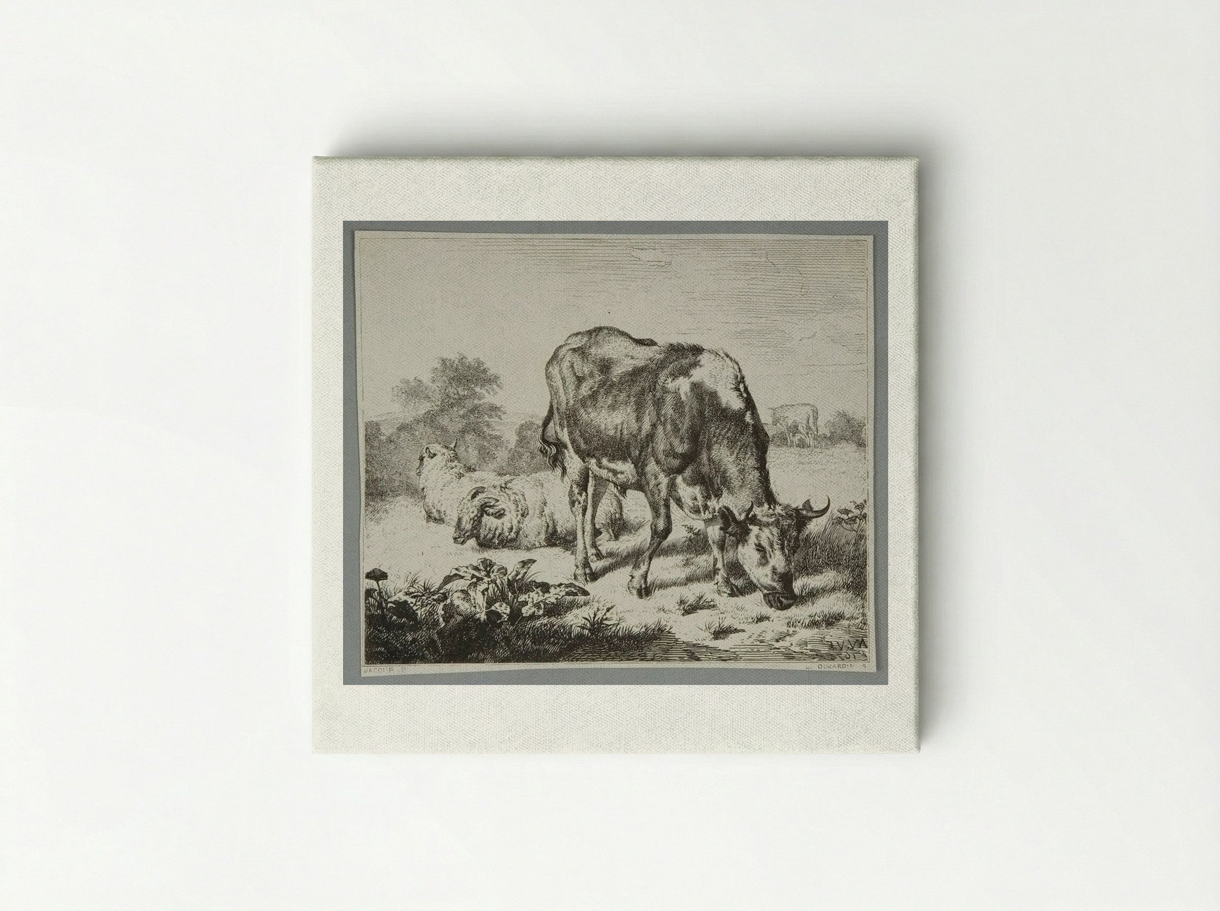 Ox and Three Sheep - Louis Dujardin - Canvas