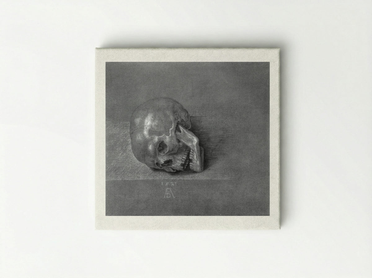 Skull (Study) - Albrecht Dürer - Canvas