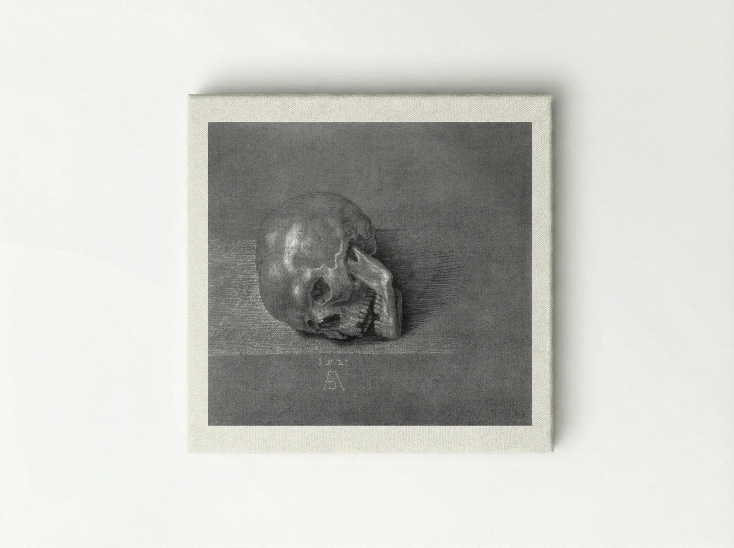 Skull (Study) - Albrecht Dürer - Canvas